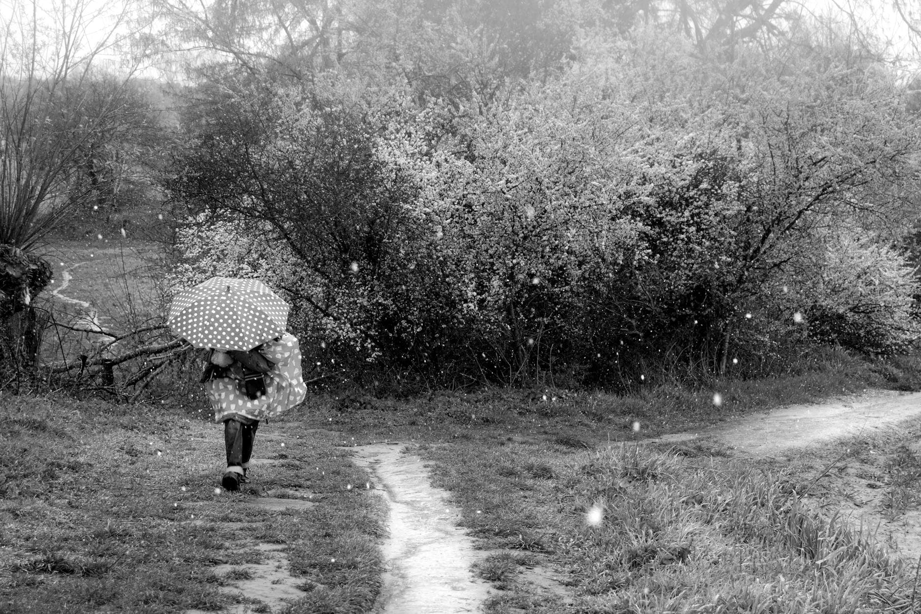 Black and white rural scene with person walking under an umbrella during a light snowfall. - sad spring mood