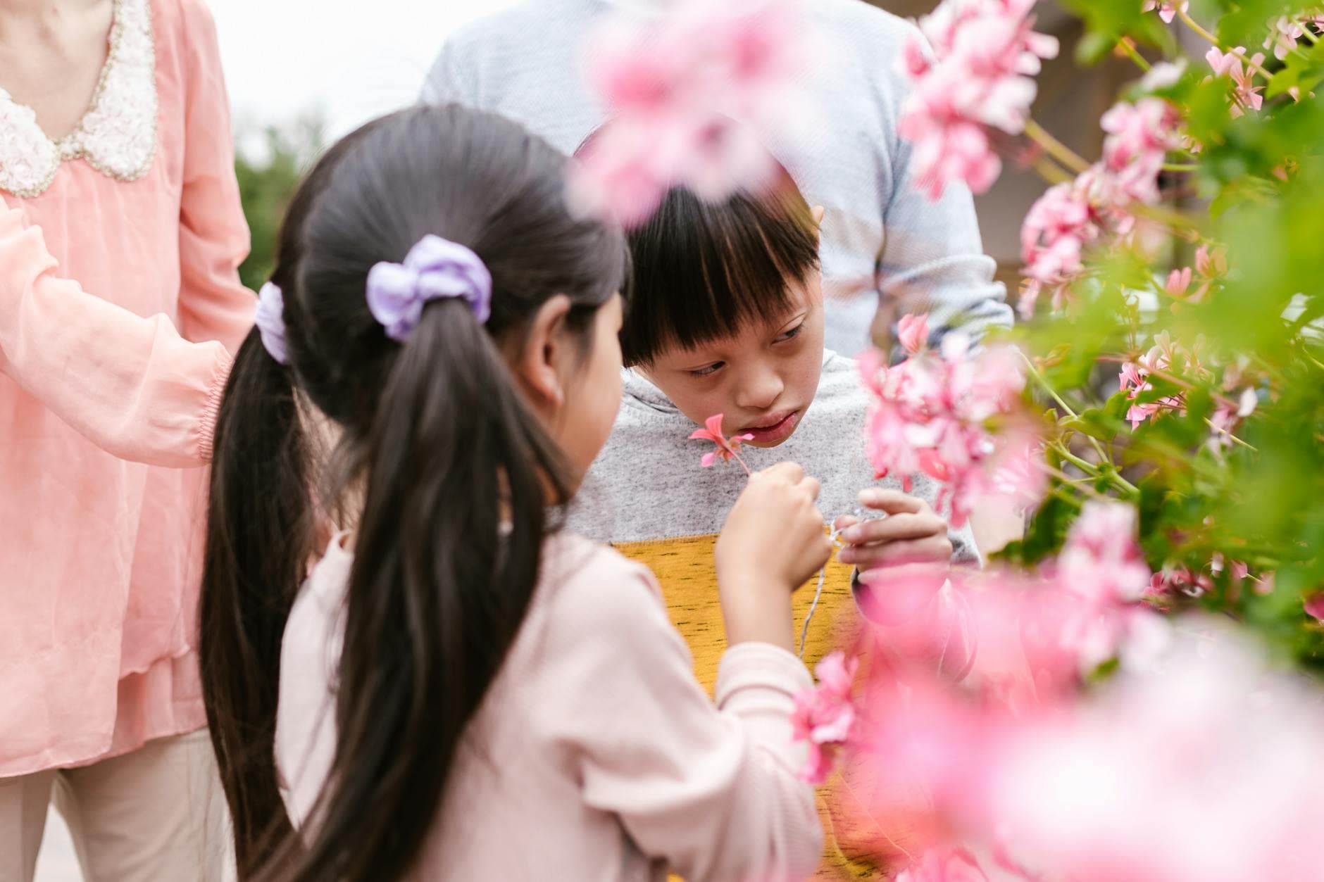Children explore flowers in a garden, sharing joyful and playful moments outdoors. - spring growth spurt communication