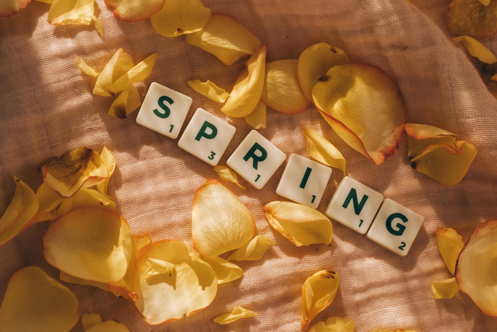 Artistic flat lay of spring letter tiles with yellow petals on soft fabric. - spring therapy search
