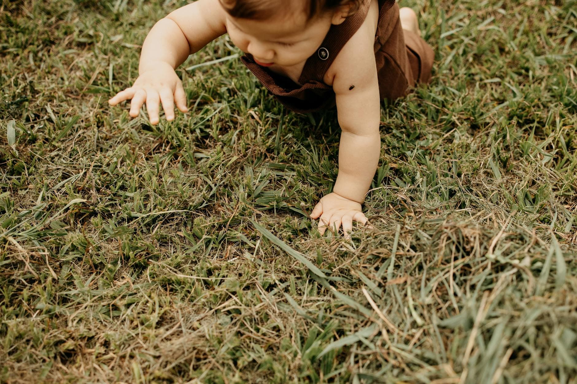A cute baby in brown outfit crawling on grass, exploring nature outdoors. - child growth spurt
