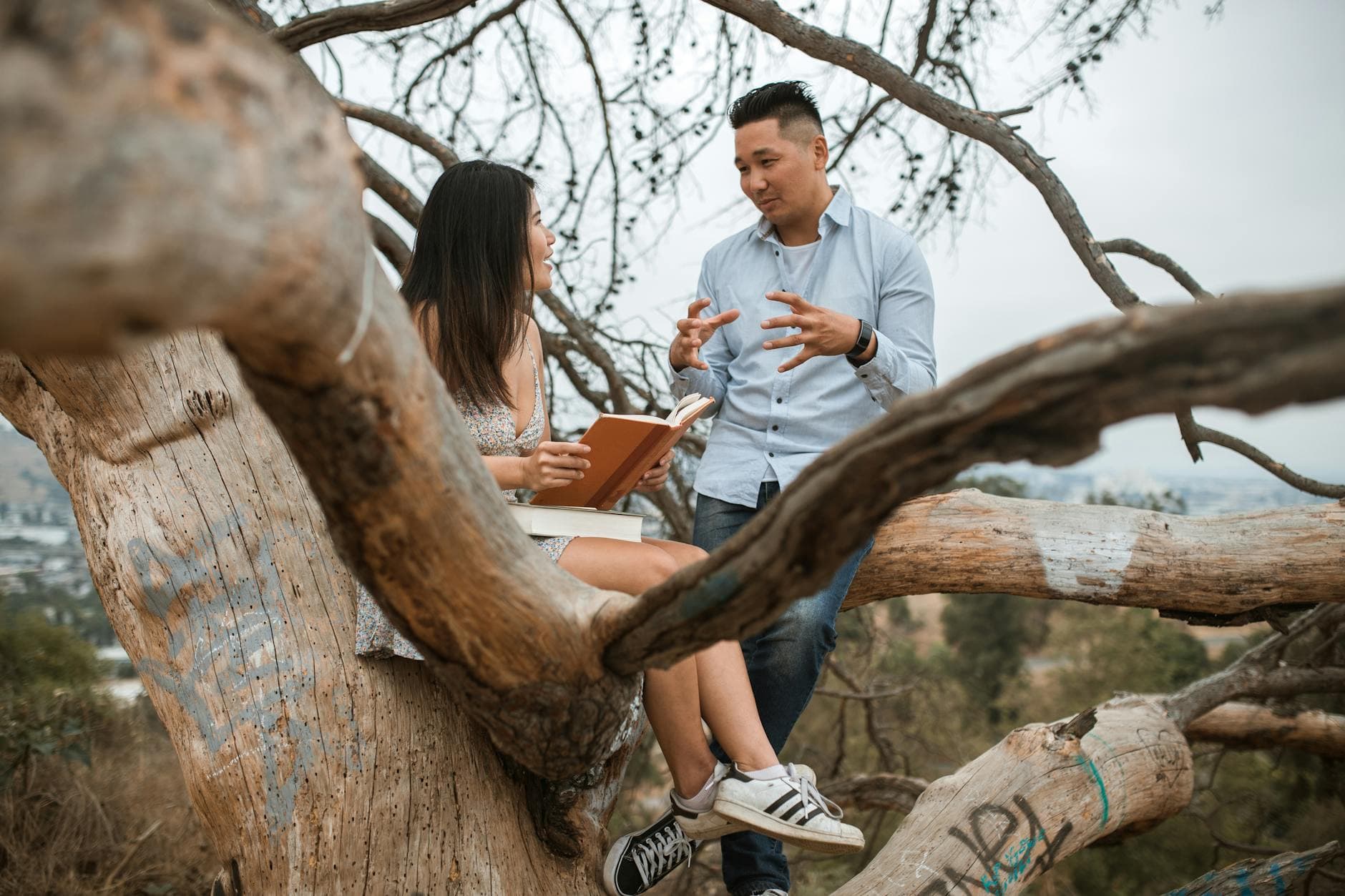 Asian couple enjoying a thoughtful conversation sitting on a tree branch outdoors. - communicate needs relationship