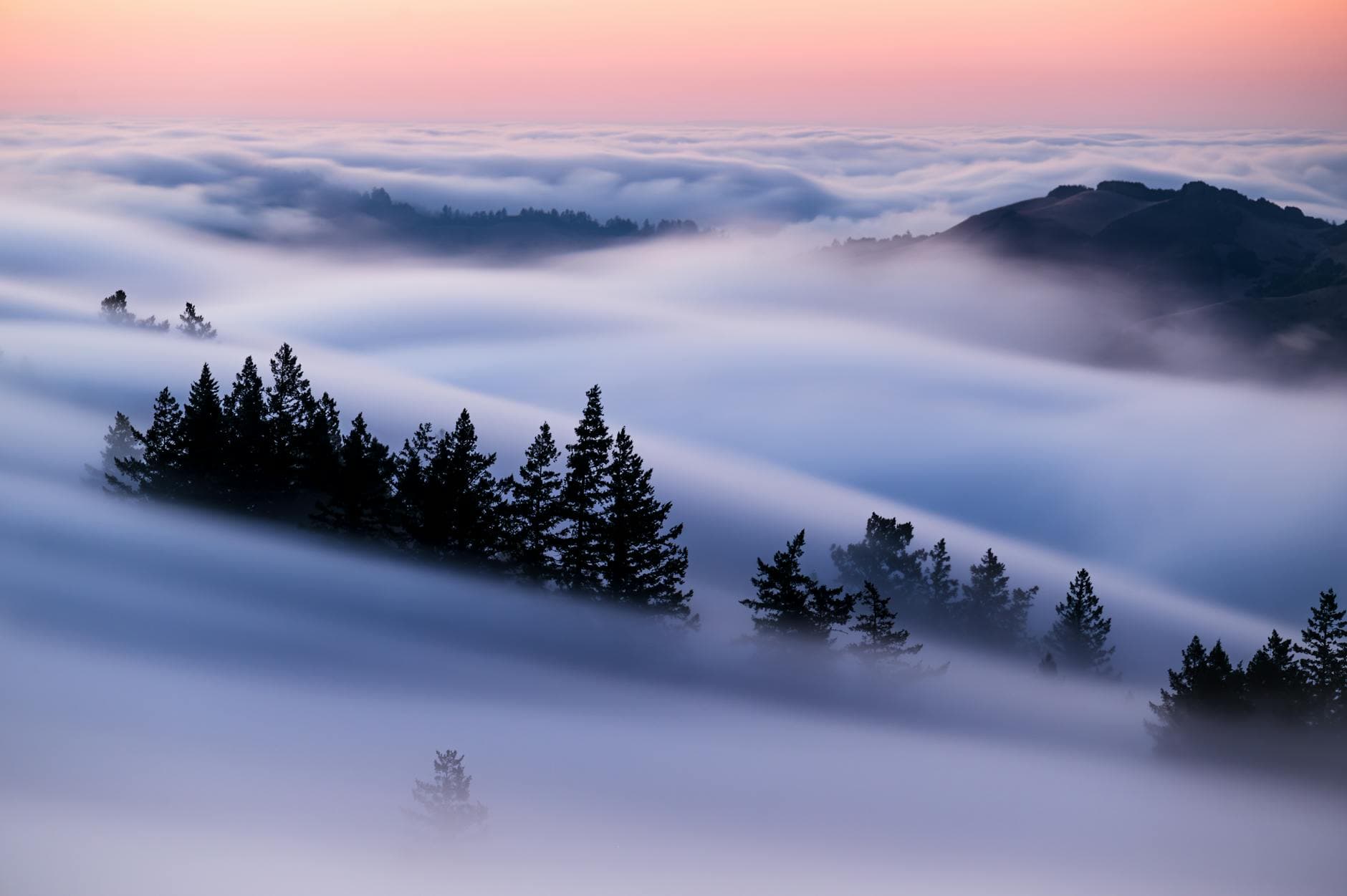 Capture of serene rolling fog over a forested mountain at dawn, creating a mystical and tranquil scene. - overcome mental fog