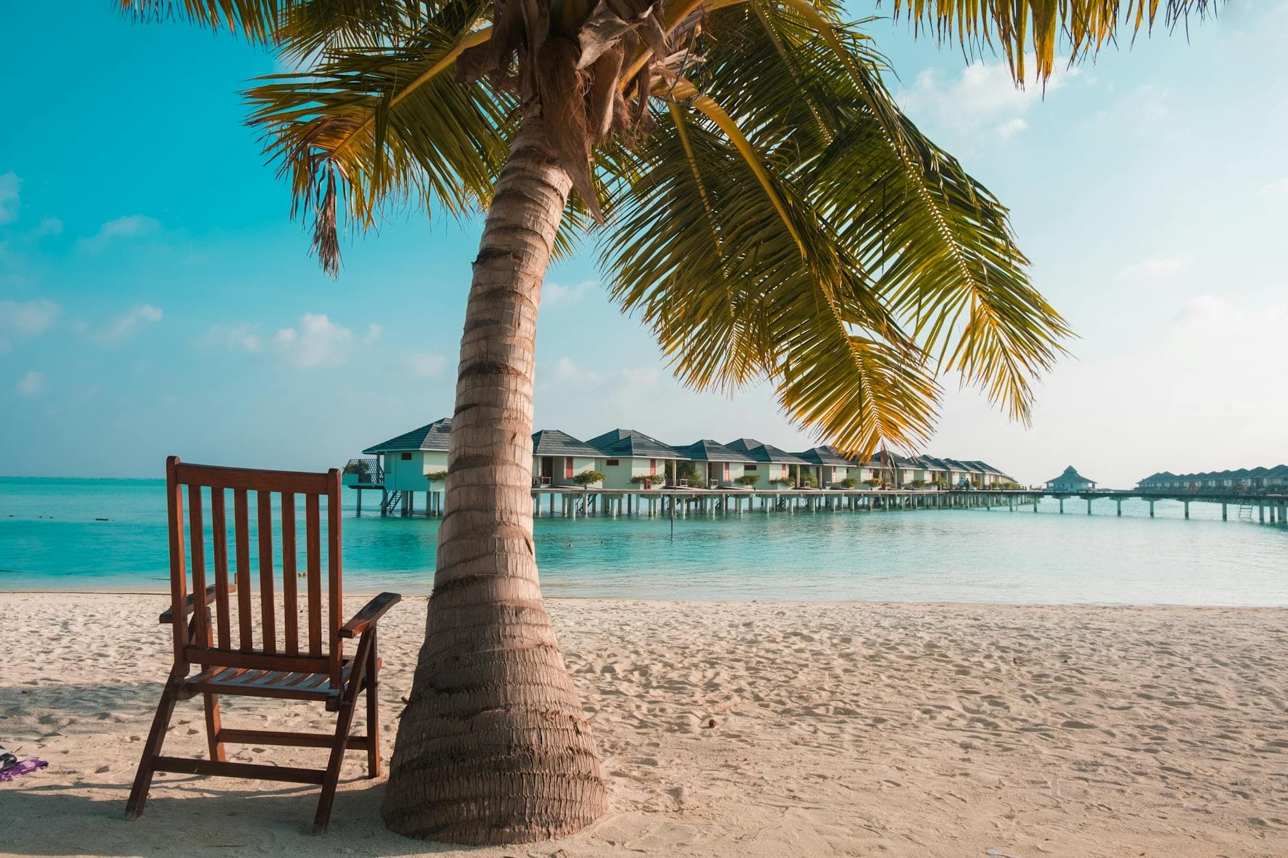Peaceful beach setting with palm tree and overwater bungalows, perfect for a tropical escape. - post vacation blues