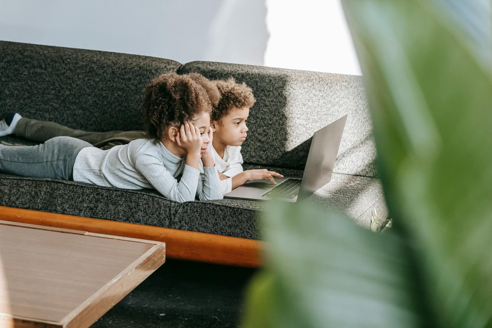 Side view of focused African American siblings surfing modern netbook while lying on comfortable sofa in room with wooden table and green leaves - sibling rivalry tips