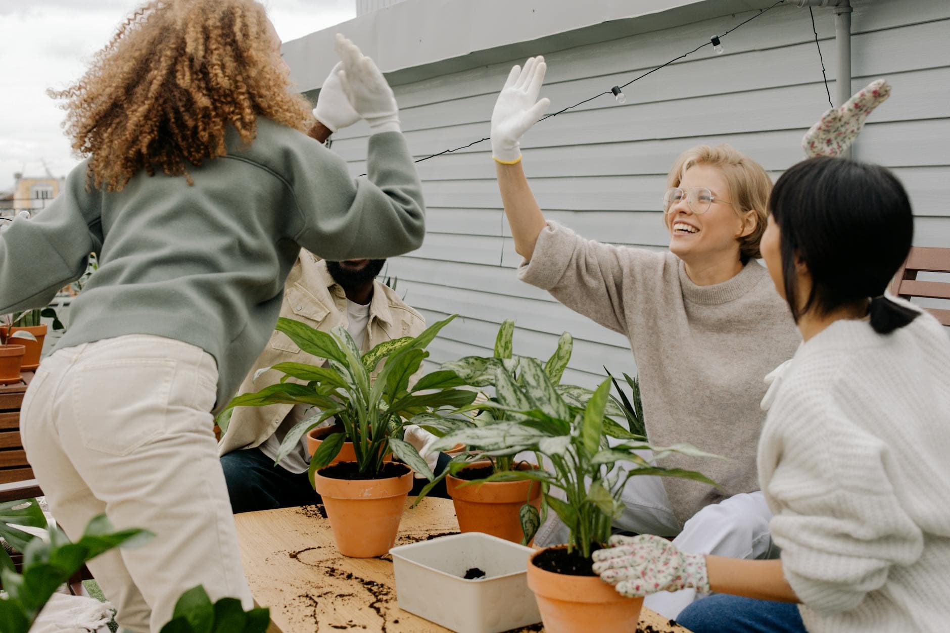 Diverse friends enjoy gardening on a rooftop, sharing a high five. - spring social skills