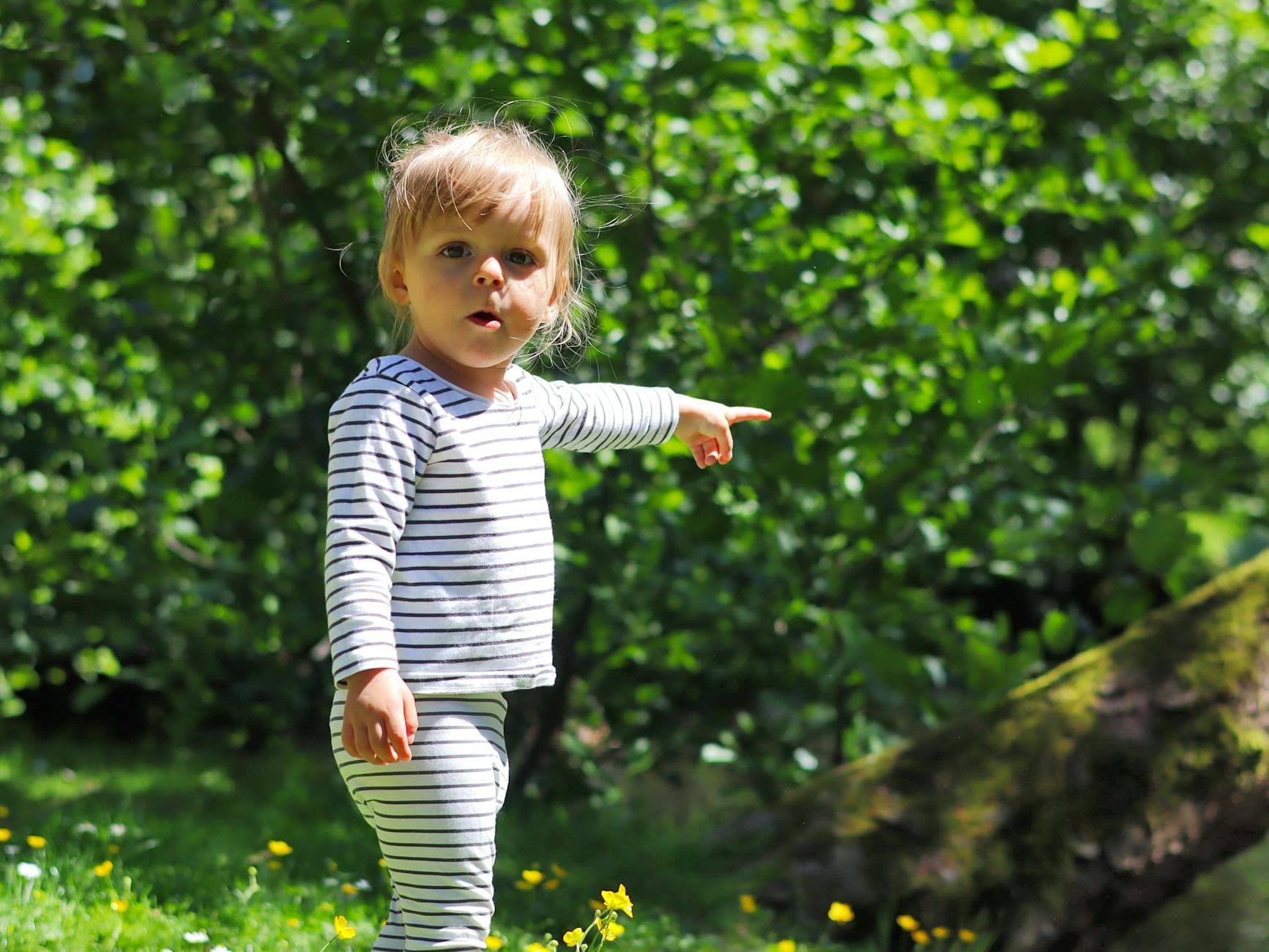 A toddler in striped outfit pointing forward in a sunlit park with dense greenery. - toddler spring nature
