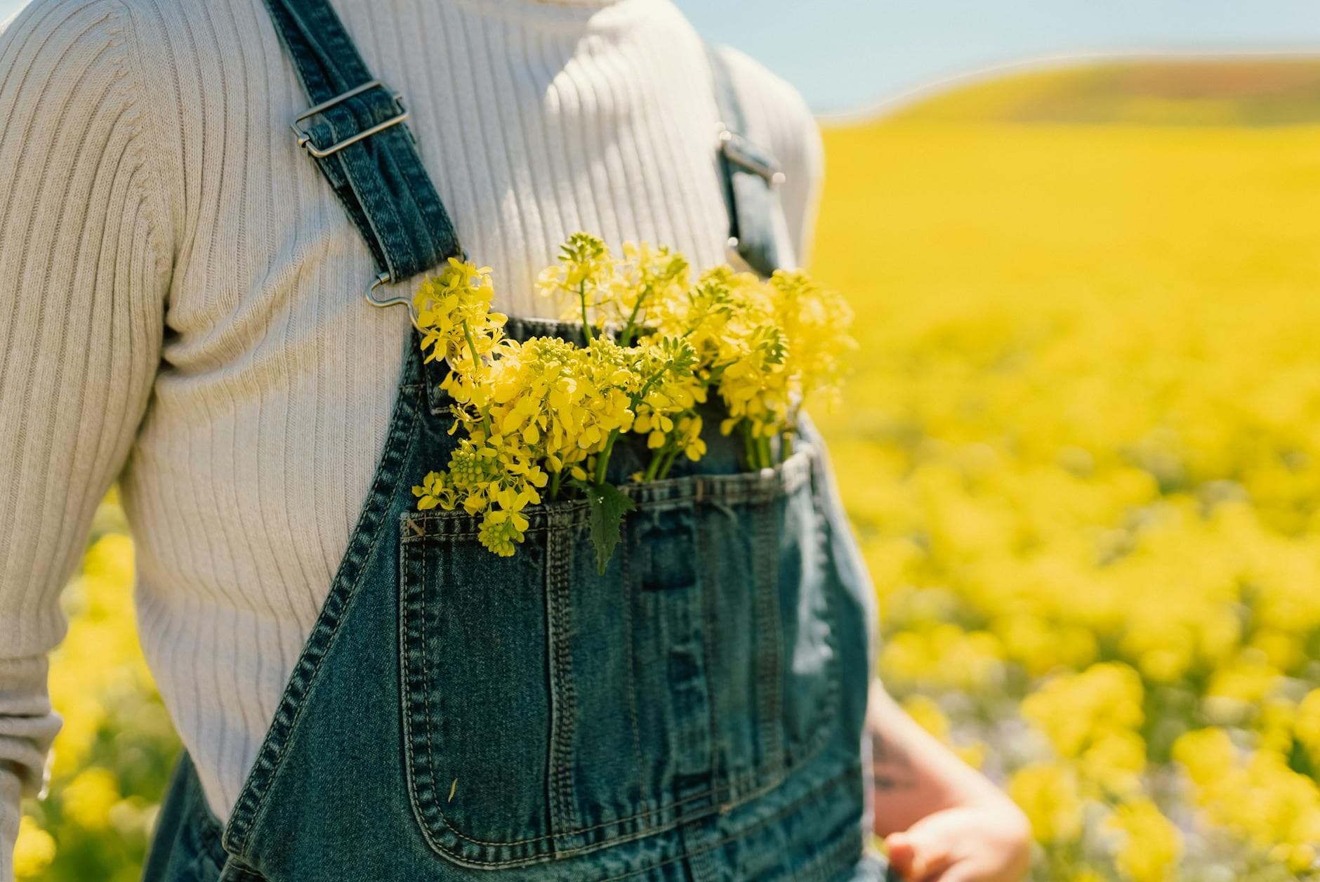 A close-up of a person in denim overalls holding yellow flowers in a vibrant spring field. - cbt for spring blues