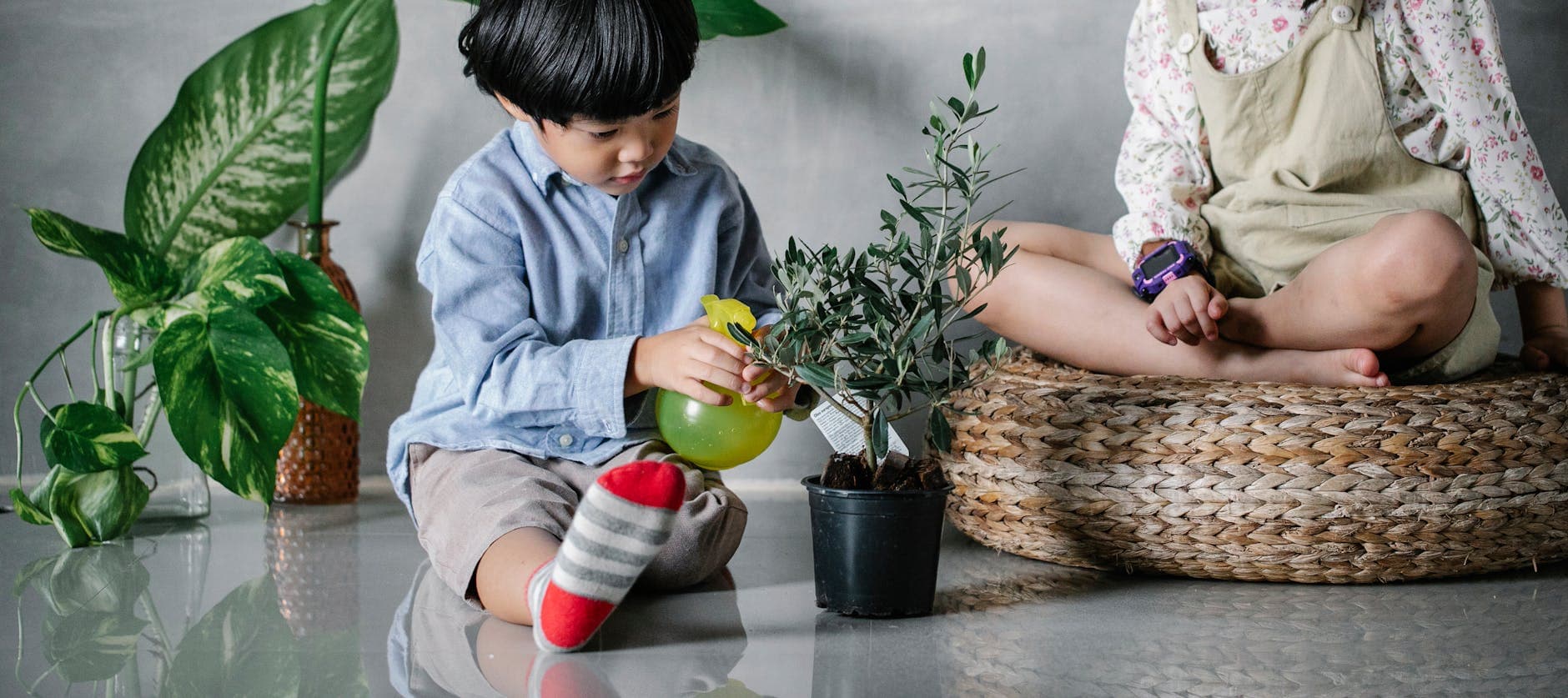 Crop adorable Asian siblings wearing casual outfits sitting on floor and spraying lush potted houseplant - preschool garden activities