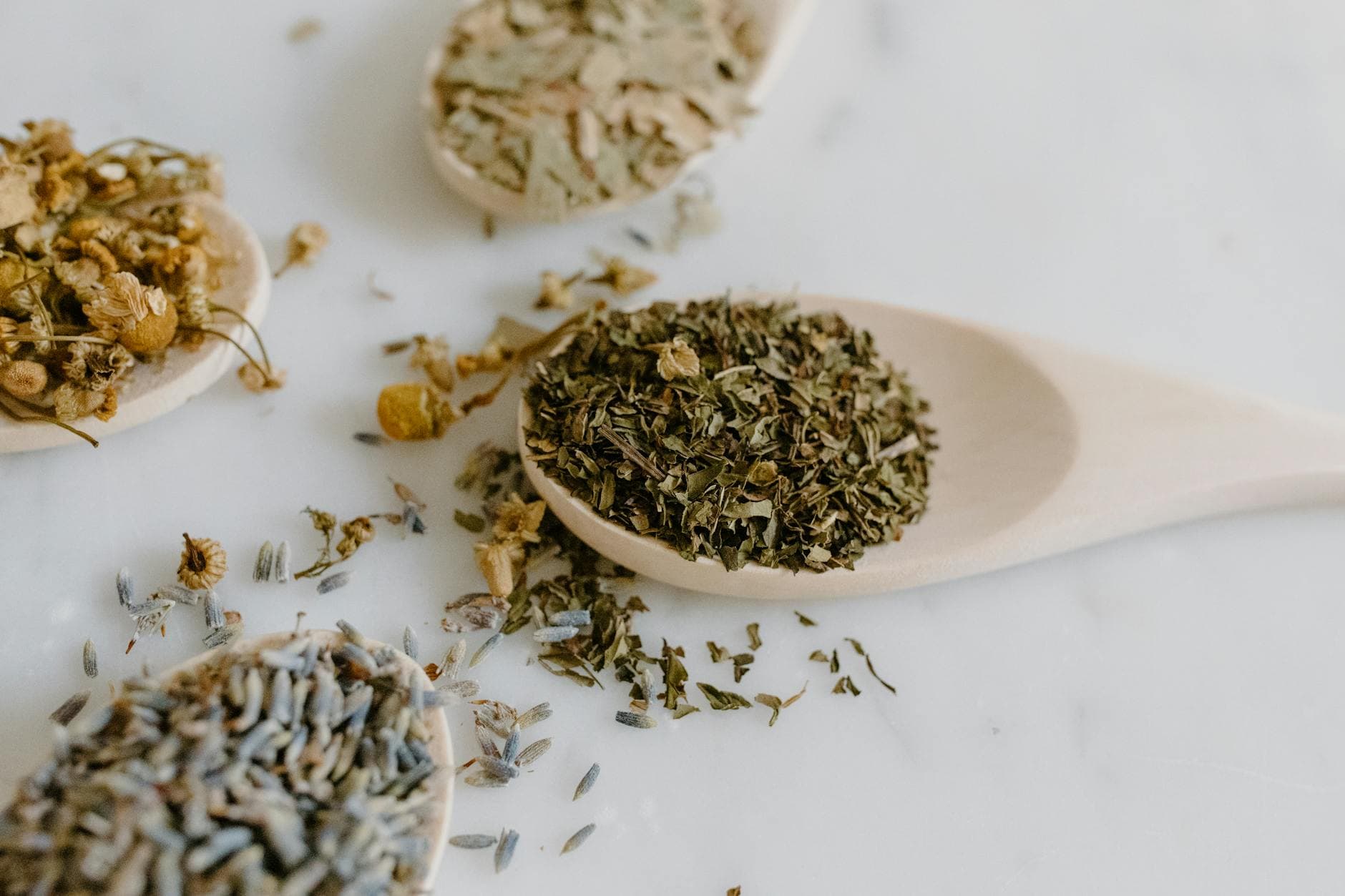 A collection of dried herbs on wooden spoons for natural remedies and alternative medicine. - spring fatigue remedies