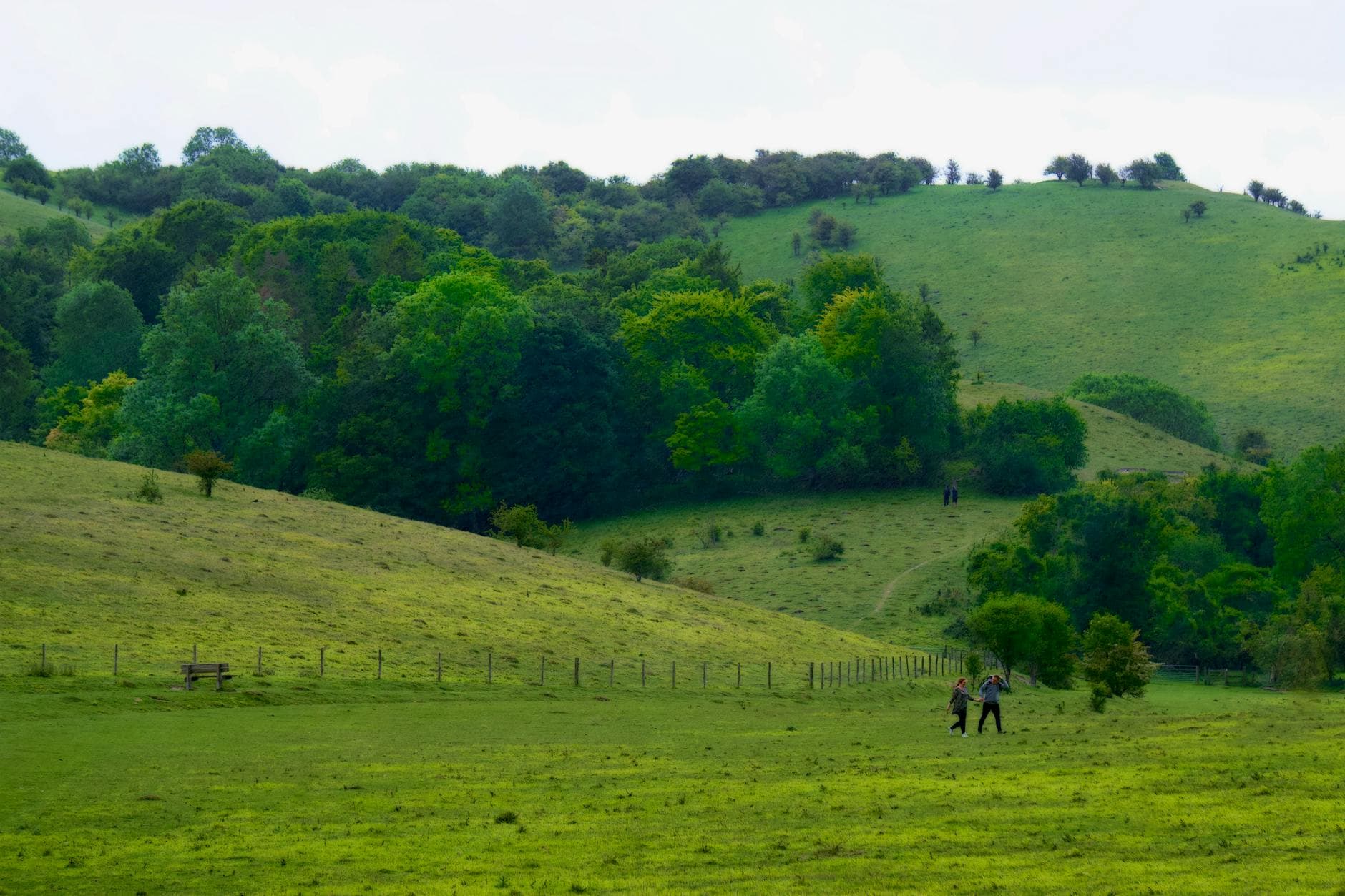 A tranquil scene of a couple walking through a lush green countryside in England. - couples spring reconnection