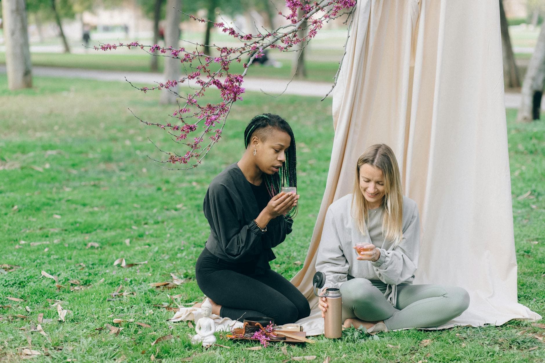 Two women enjoying a peaceful picnic in a park beneath blooming pink flowers. Ideal for lifestyle and wellness themes. - spring lethargy mindfulness