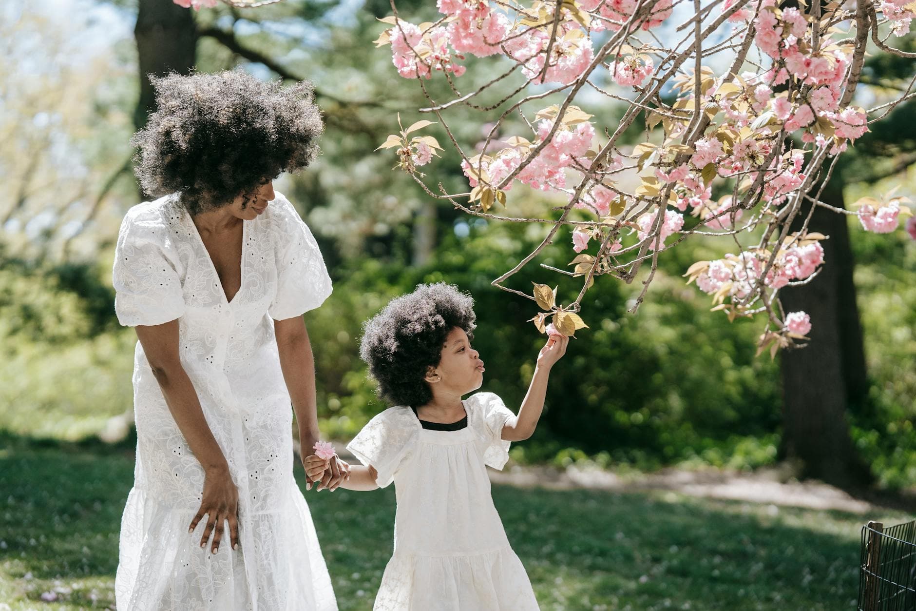 A mother and daughter in white dresses admire cherry blossoms outdoors. - parent burnout spring