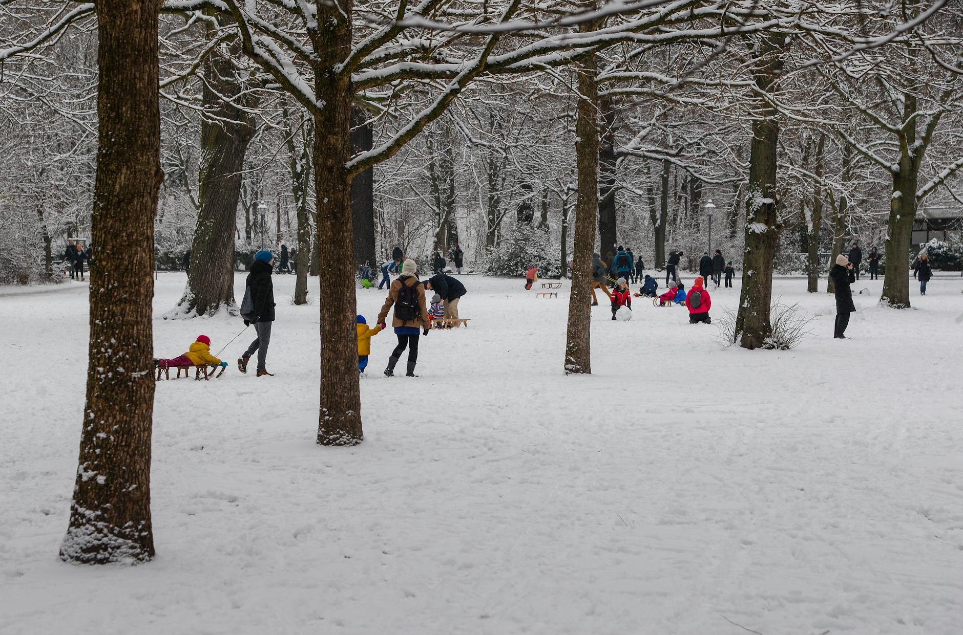 Families enjoying a snowy day in a park, pulling children on sleds among snow-laden trees. - family snow day communication