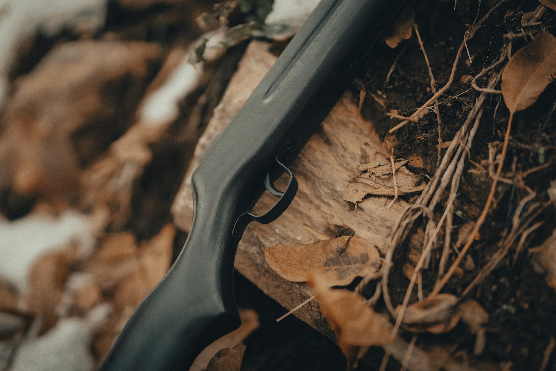 A detailed view of a rifle laying amongst fallen autumn leaves on the forest floor. - seasonal eating disorder triggers