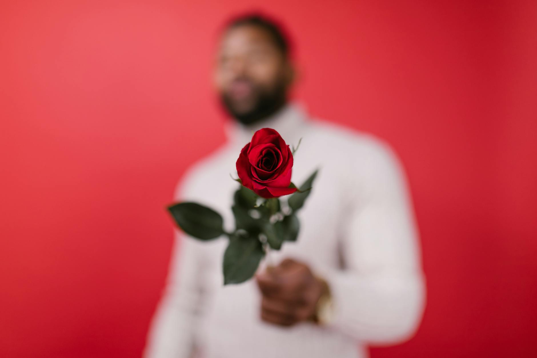 A man in blurry focus offering a red rose against a vibrant red background, symbolizing love. - single parent valentine's day