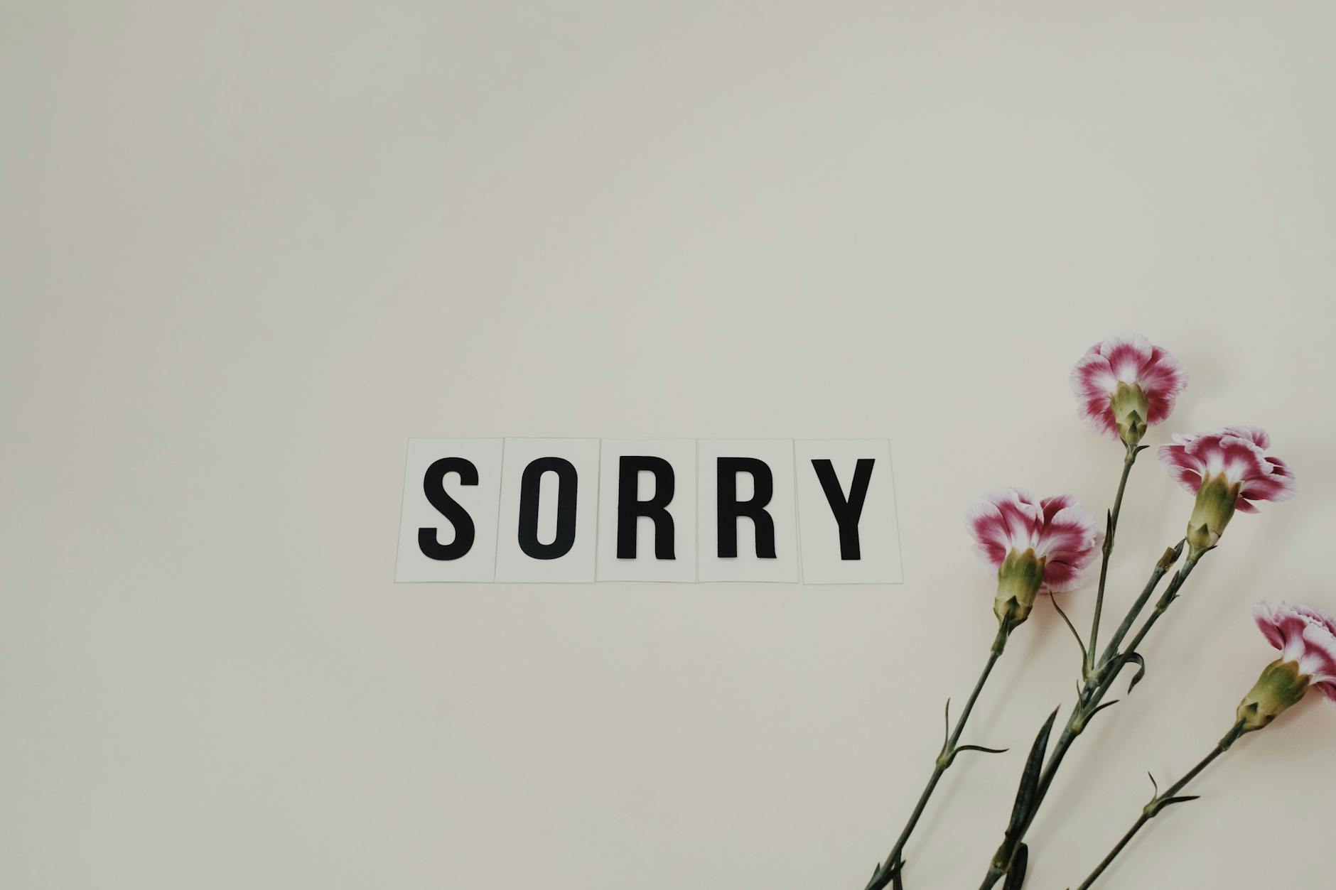Word 'SORRY' displayed with pink carnations on a white background - write apology email