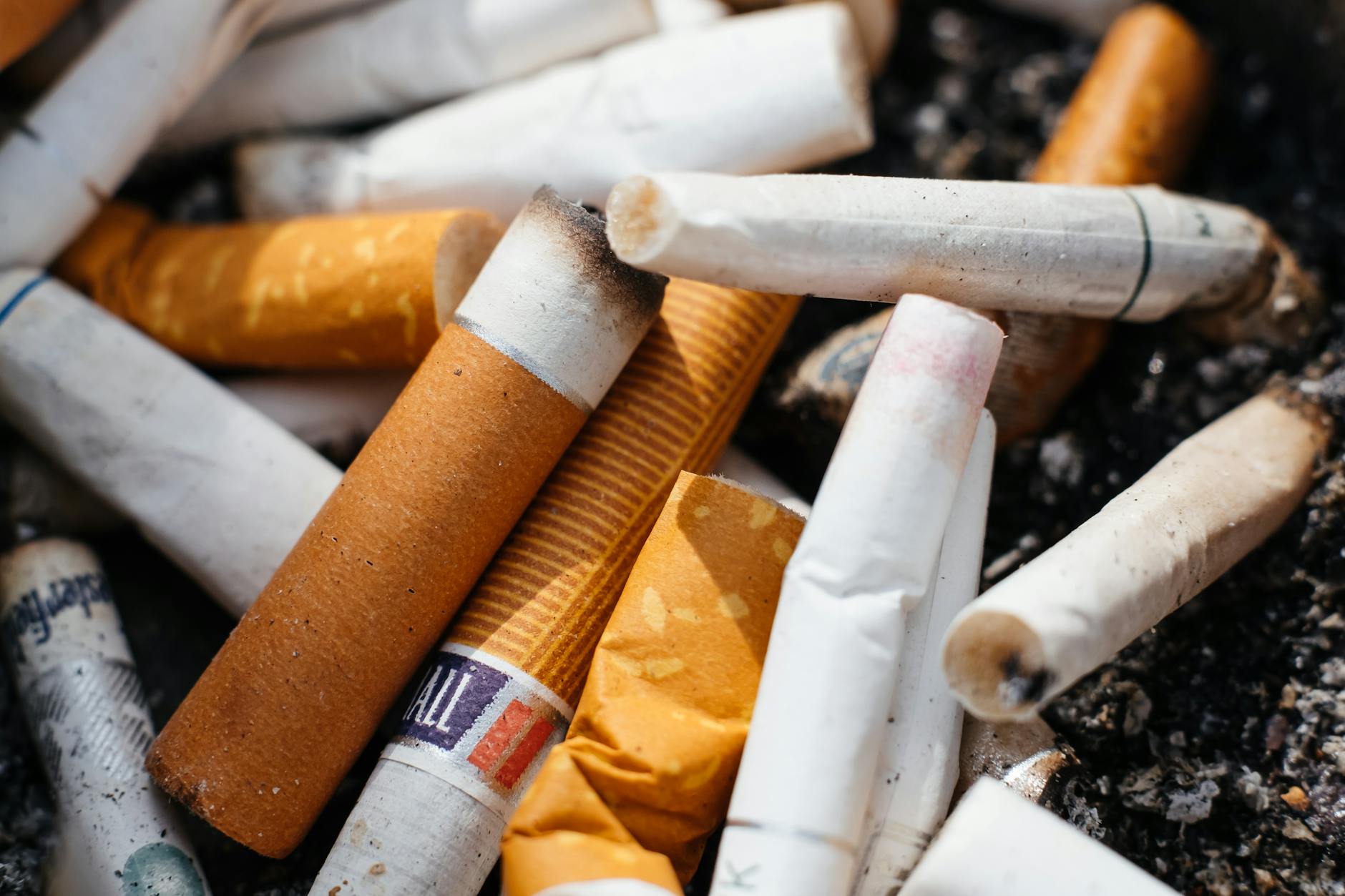 Cigarette butts in an ashtray emphasize the environmental impact of smoking. - communication habits
