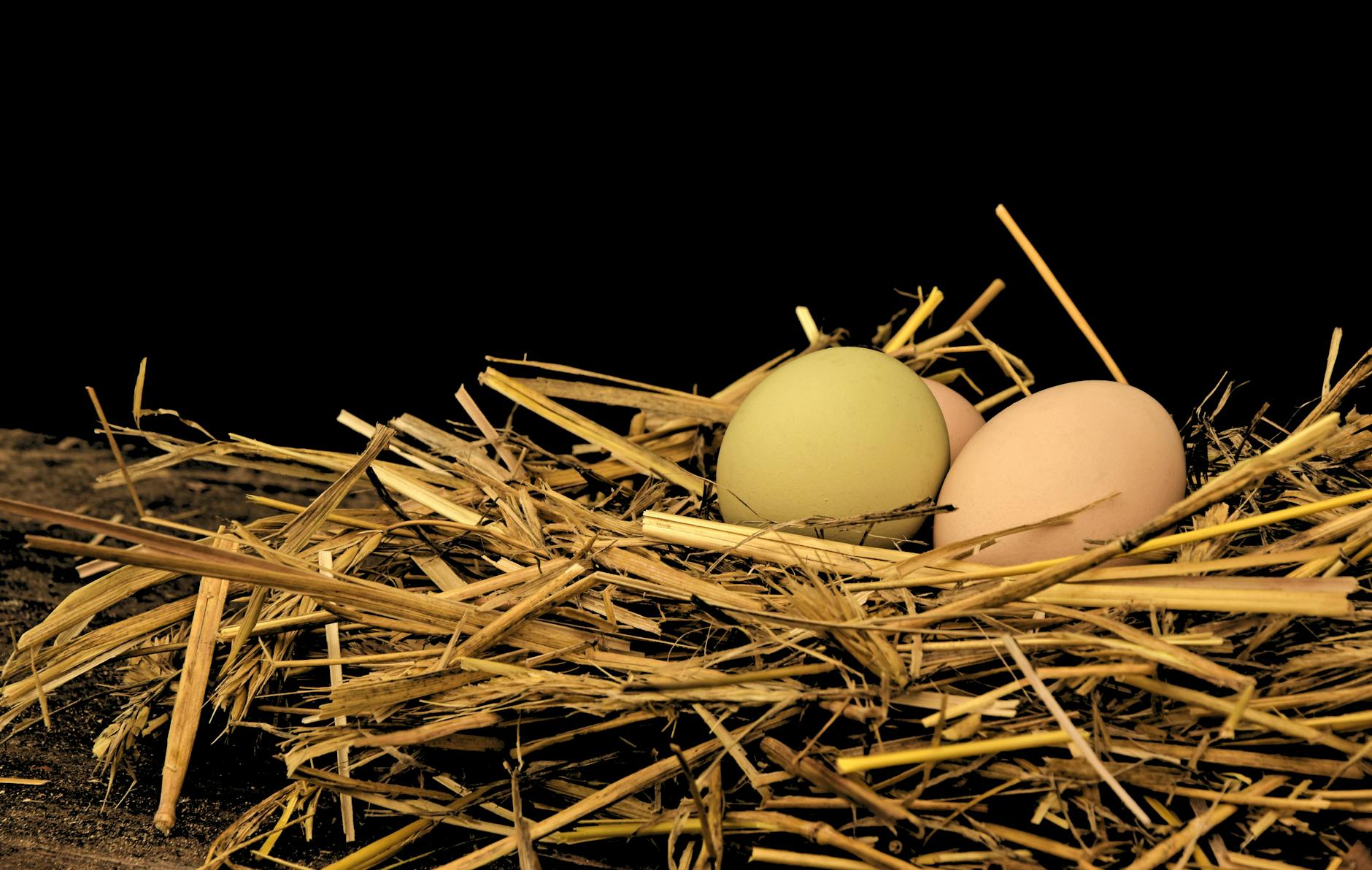 A detailed close-up shot of eggs in a straw nest, highlighting the natural textures. - empty nest symptoms