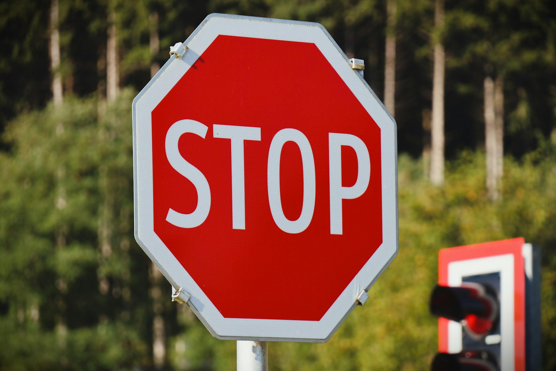 Close-up of a bright red stop sign against a background of lush green trees. - gaslighting signs