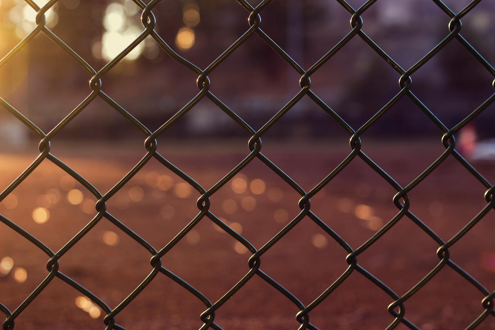 A close-up shot of a chain link fence with warm sunlight and soft bokeh background. - in-law boundaries