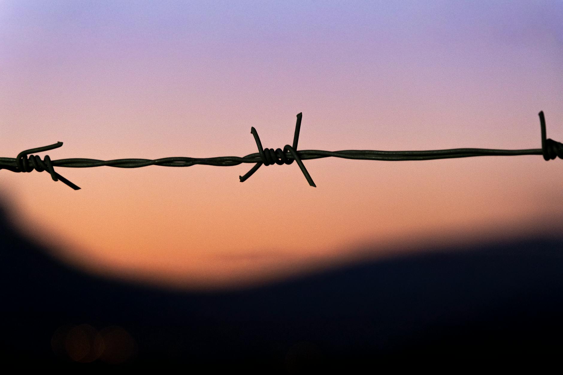 Barbed wire silhouetted against a colorful sunset, evoking themes of freedom and confinement. - in-law boundaries