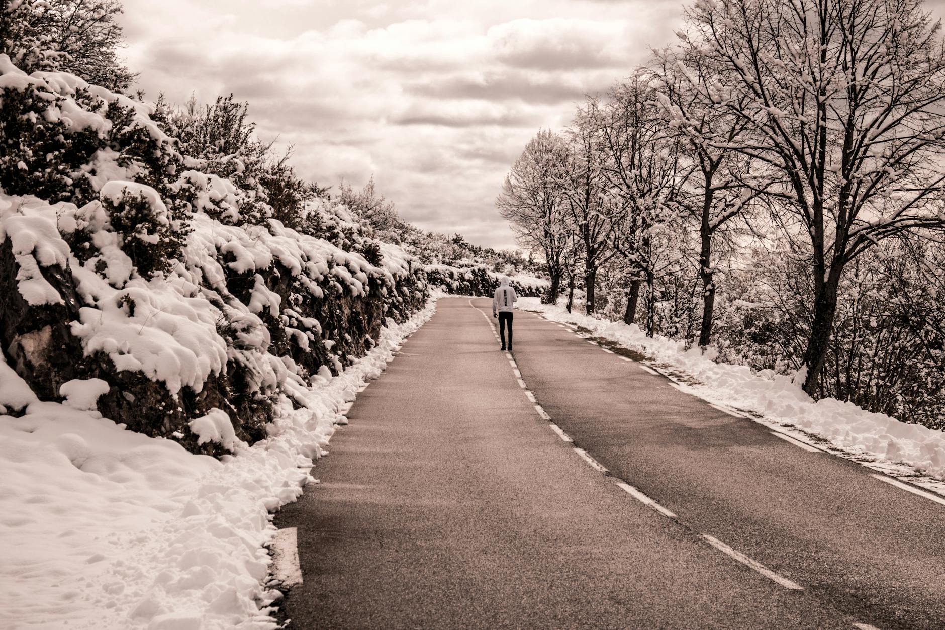A person walks down a snowy road surrounded by winter trees, evoking solitude. - overcome loneliness winter