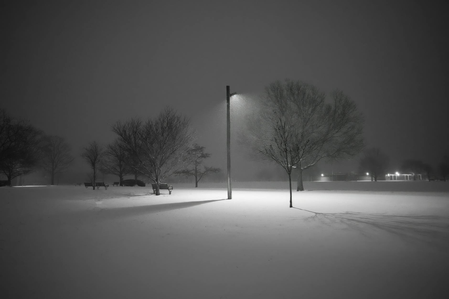 A quiet park scene at night with snow-covered trees illuminated by streetlights. - overcome loneliness winter