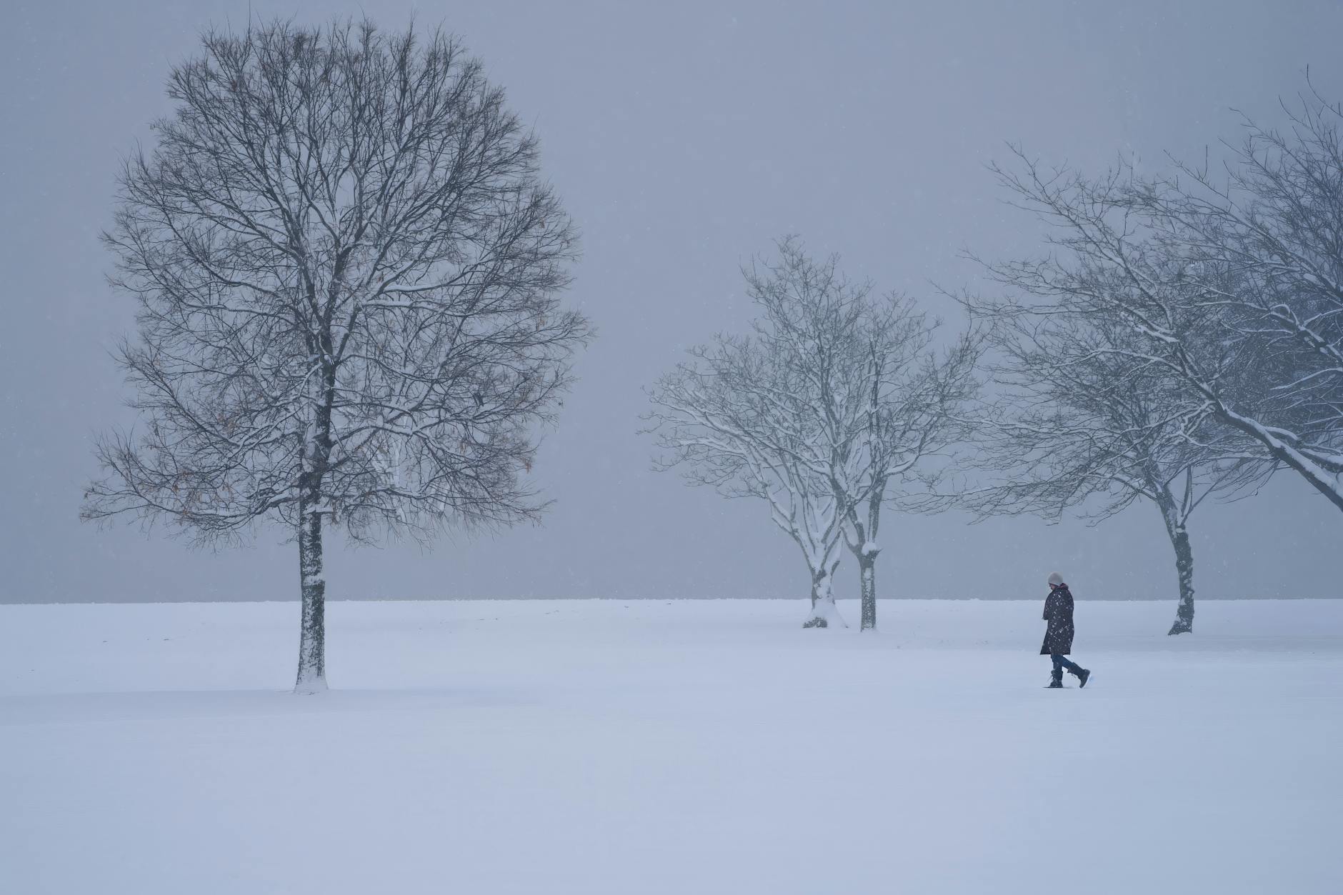 A solitary person walks through a snowy landscape with bare trees in winter. - overcome loneliness winter