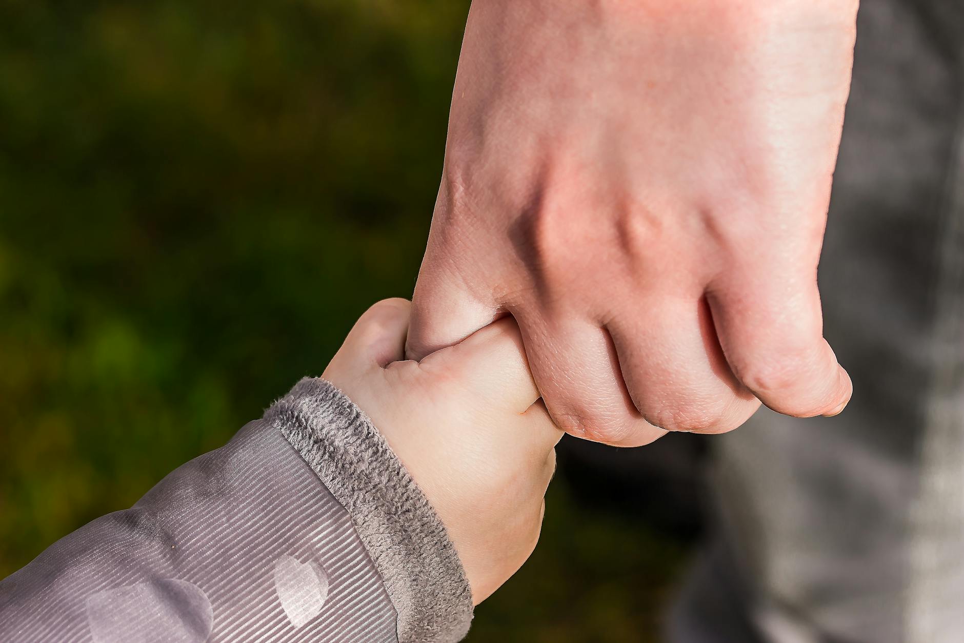 A close-up of a child and parent holding hands in a park, symbolizing love and trust. - parental emotional support
