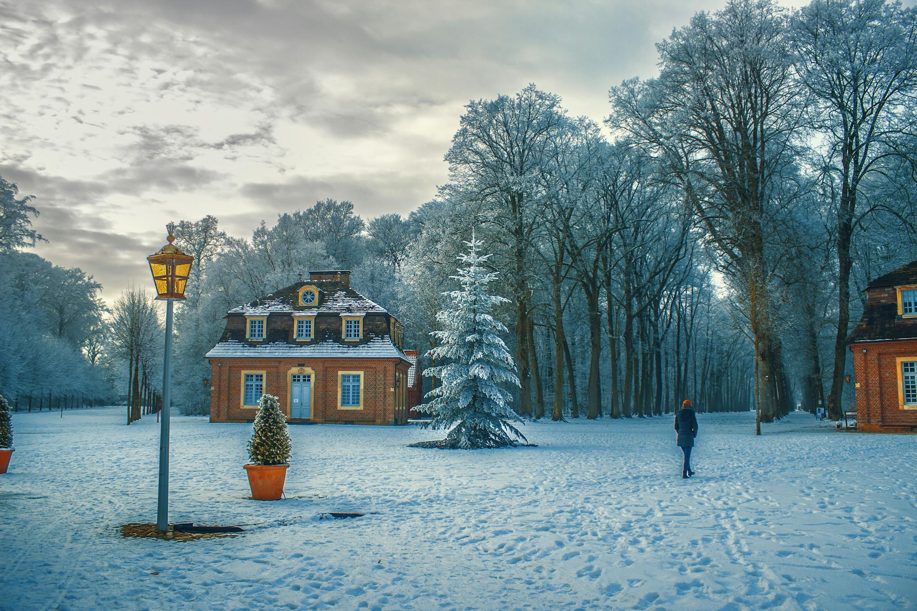 Scenic winter landscape featuring a cozy house and snow-covered trees under a cloudy sky. - post winter break routine