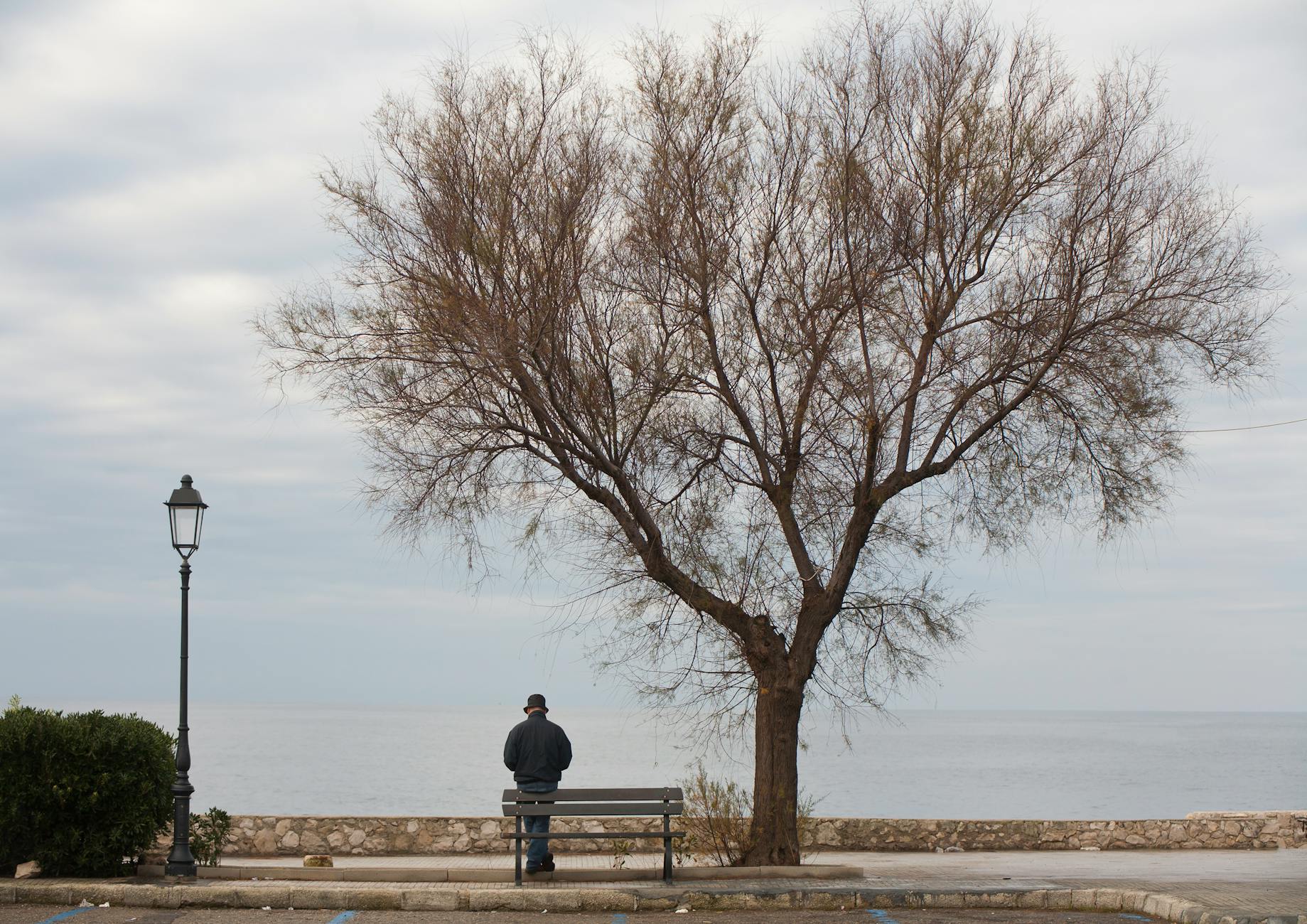 A solitary man sits on a bench by the sea under a bare tree, captured in a tranquil winter scene. - post winter loneliness