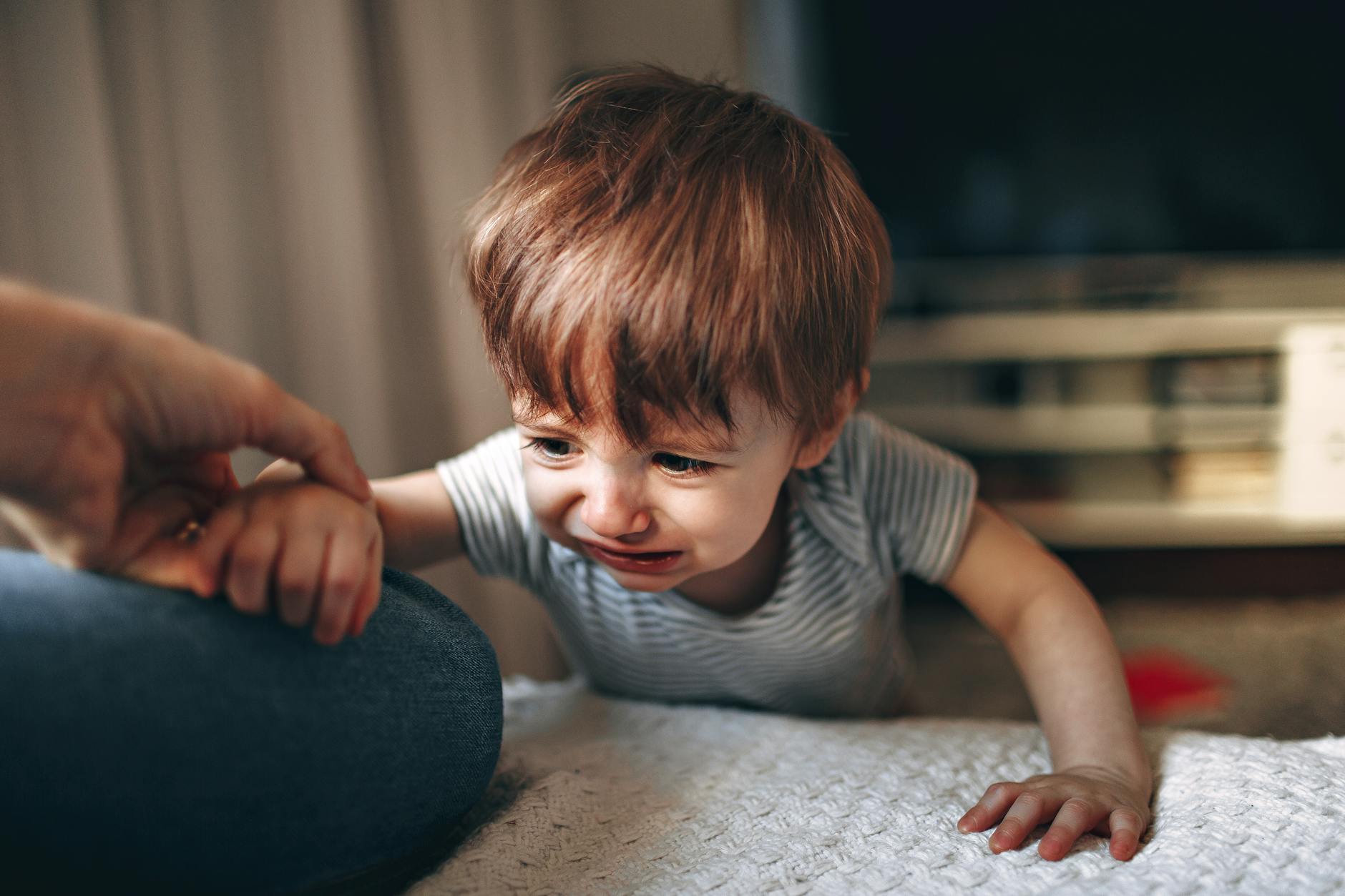 Crop unrecognizable parent helping upset boy to sit on couch while spending time in living room with TV at home - preschool emotional intelligence