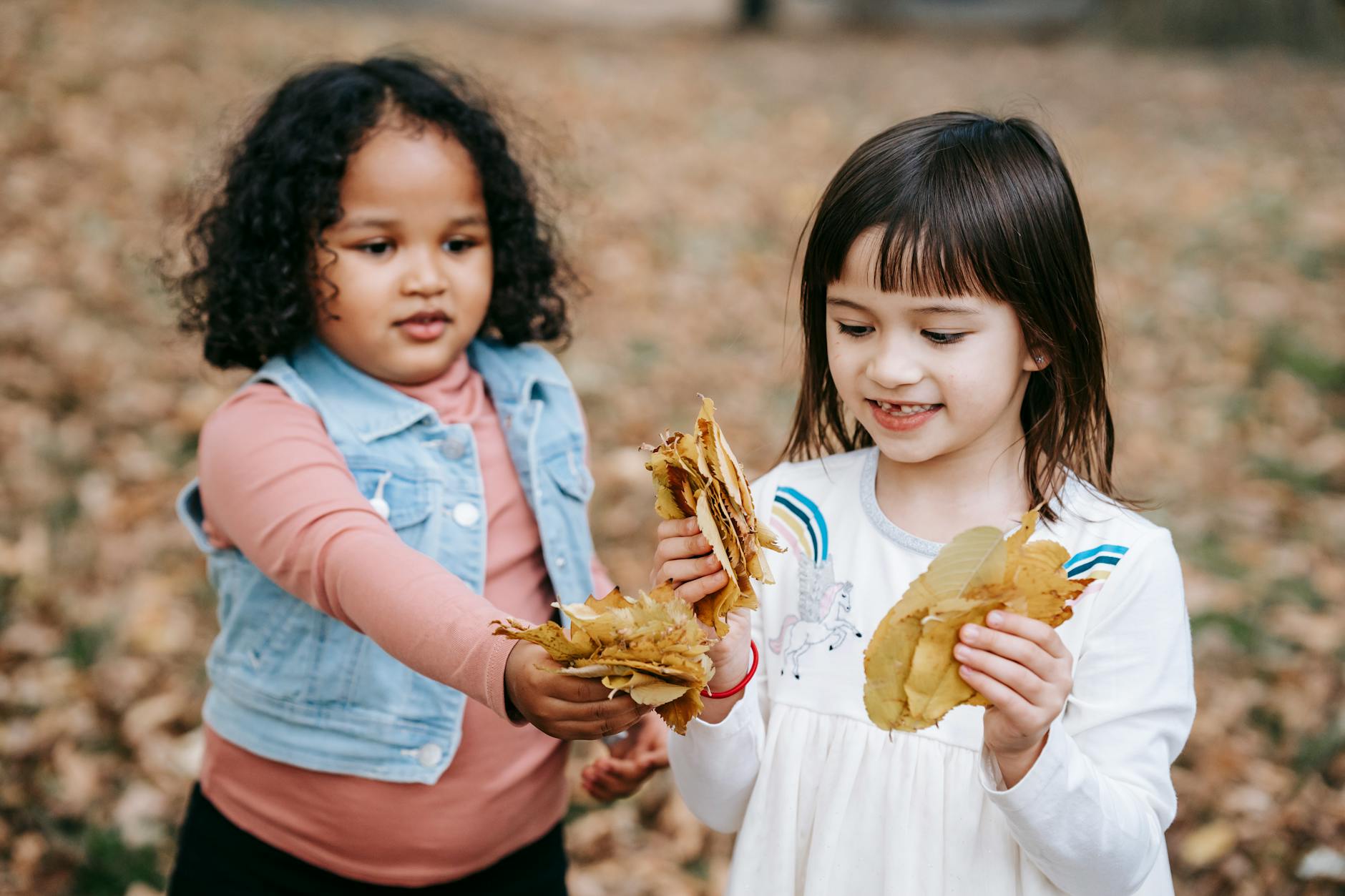Two girls joyfully playing with leaves in an autumn park setting. - preschool outdoor learning