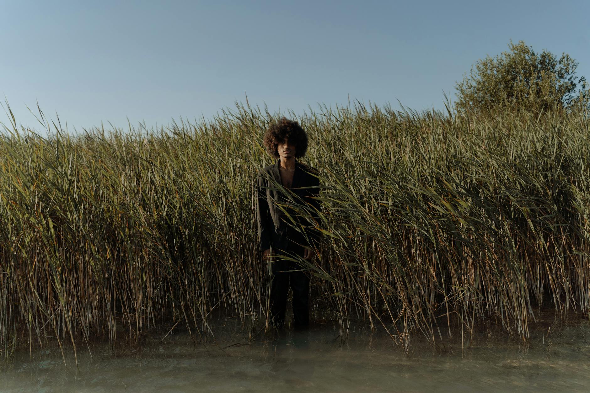 A person stands in a serene marsh landscape with lush reeds and a clear blue sky. - reconnecting with partner