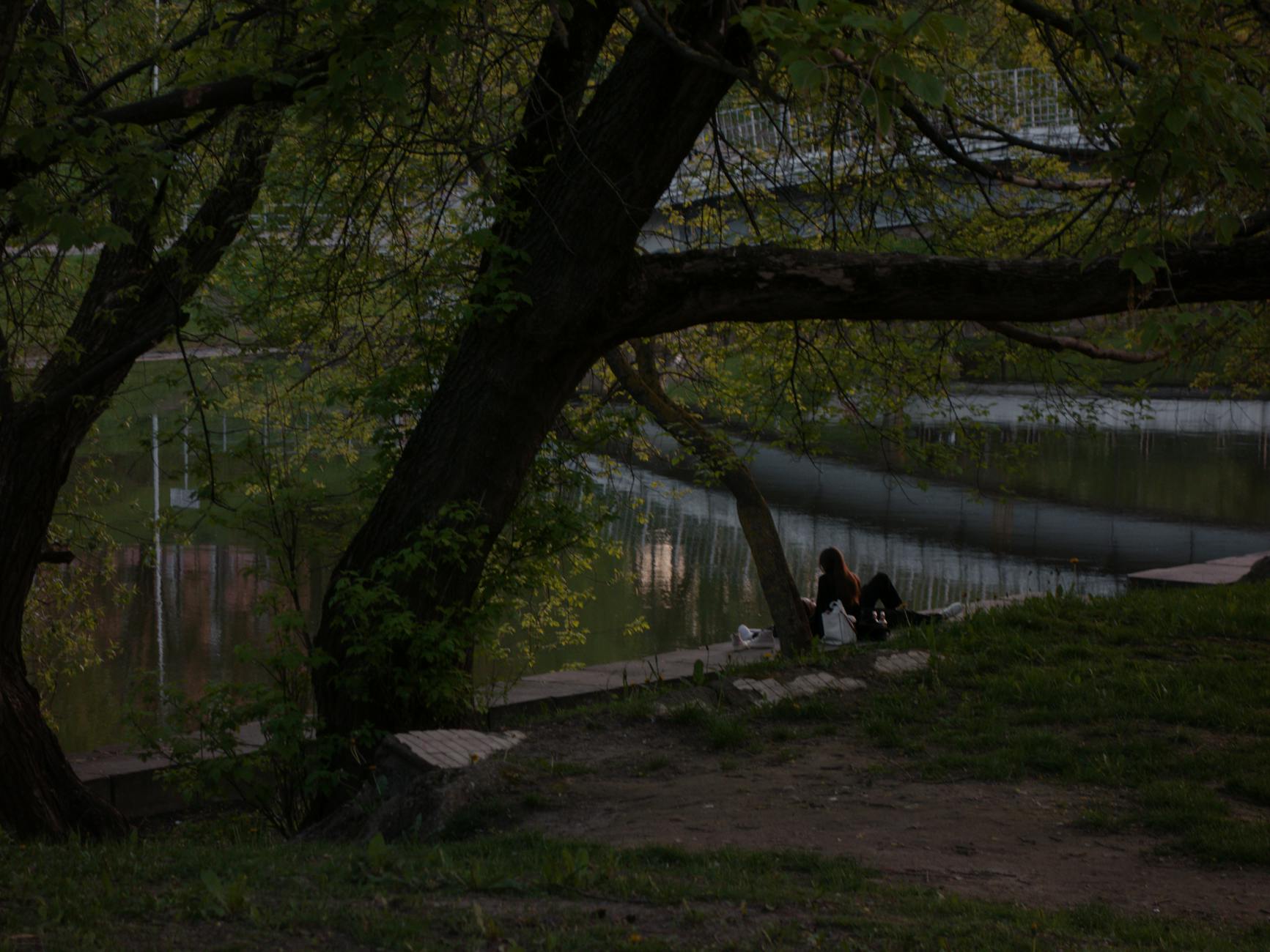 Serene scene of people relaxing by a riverside park under tree shade. - sad spring mood