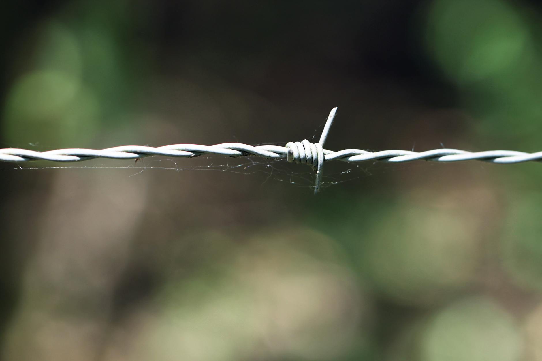 Detailed view of a barbed wire strand with a blurred natural background. - setting boundaries adult children
