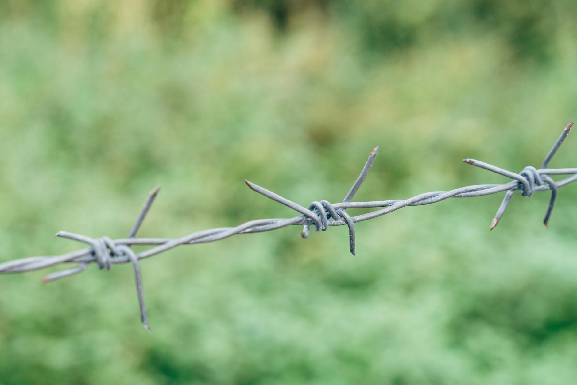 Detailed image of barbed wire against a soft, blurred green backdrop. - setting boundaries after isolation