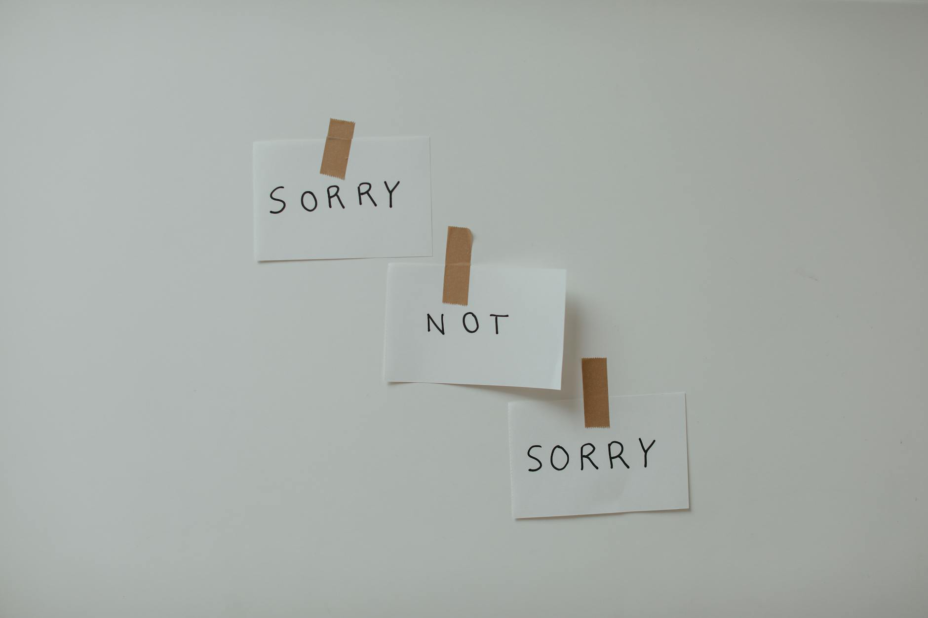 Minimalist design of cards on a white background with the text "Sorry Not Sorry" in handwritten font. - how to spell apologize