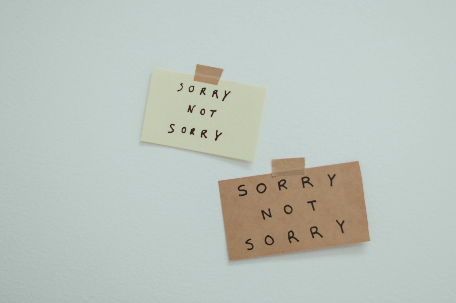 Two notes reading 'Sorry Not Sorry' taped to a wall, conveying a playful message. - how to spell apologize