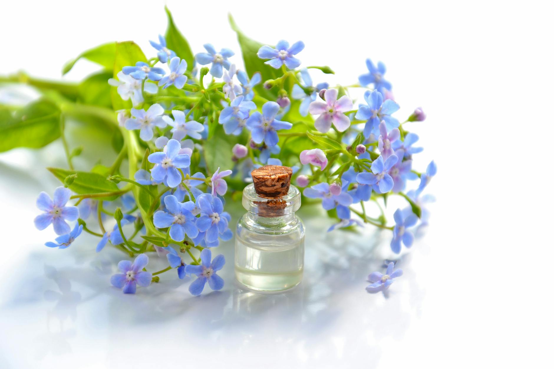 A glass bottle of essential oil beside delicate blue flowers, evoking calm and nature. - spring blues therapy