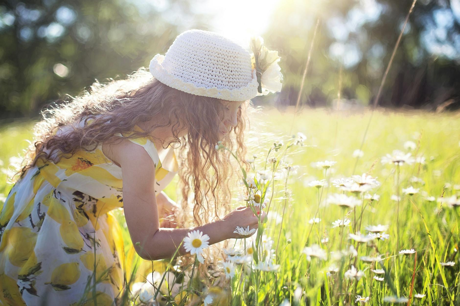 Little girl enjoys picking flowers in a sunlit meadow, embodying pure joy and innocence. - spring break kids