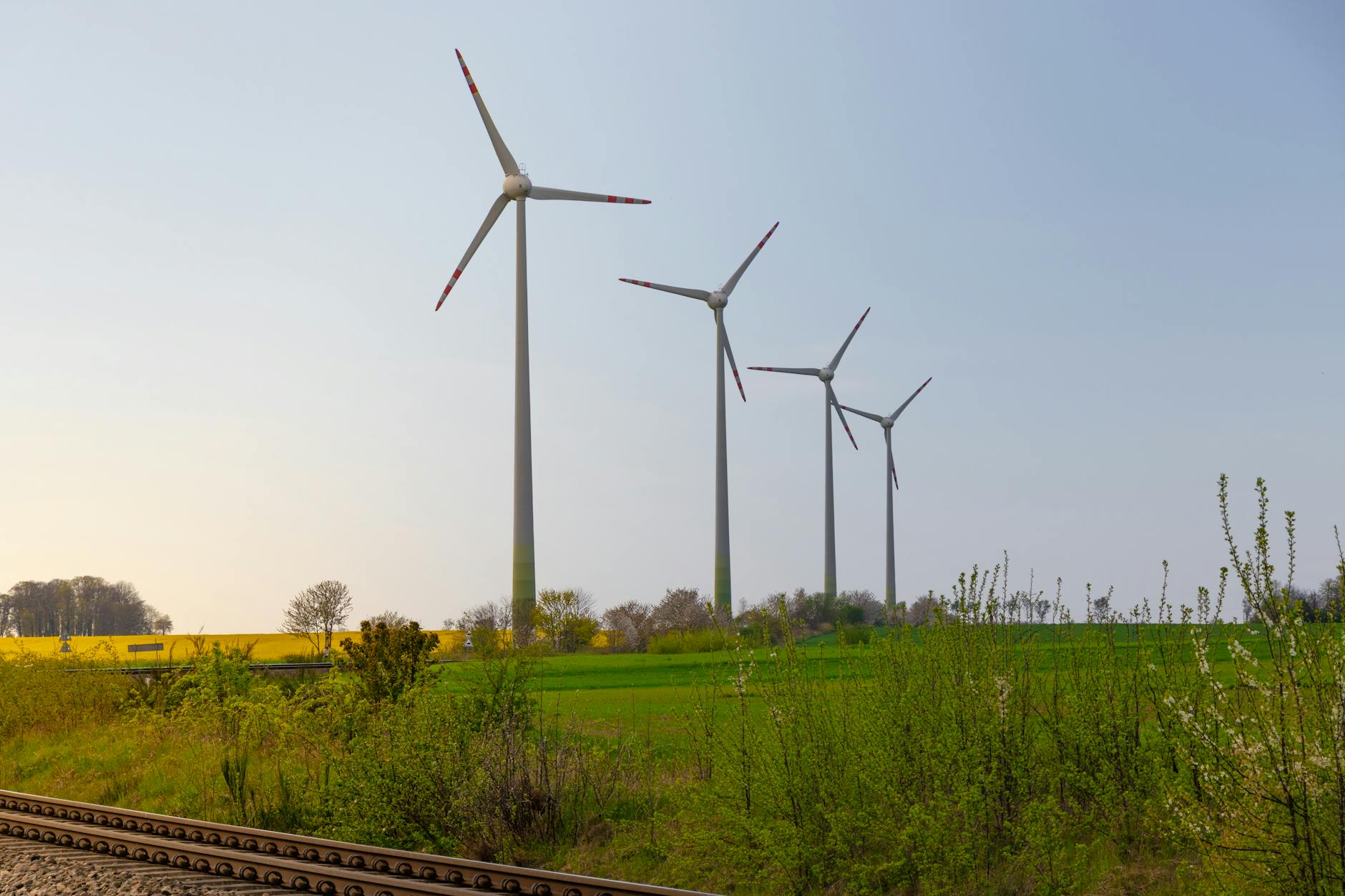 Explore this serene landscape featuring wind turbines in a verdant spring setting, providing a sense of tranquility and sustainability. - spring child energy
