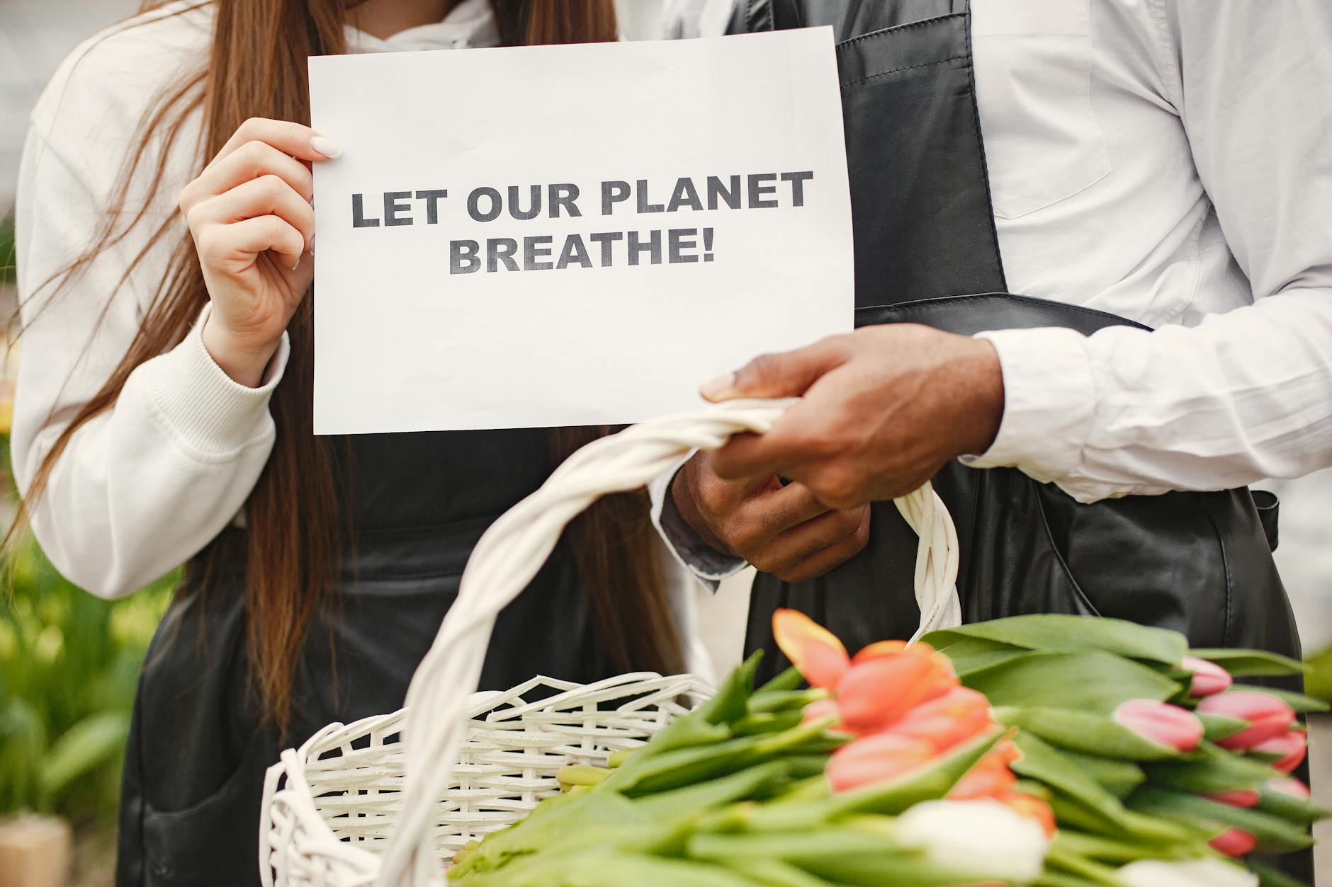 Close-up of two people holding a sign and basket with tulips advocating for environmental awareness. - spring fatigue causes
