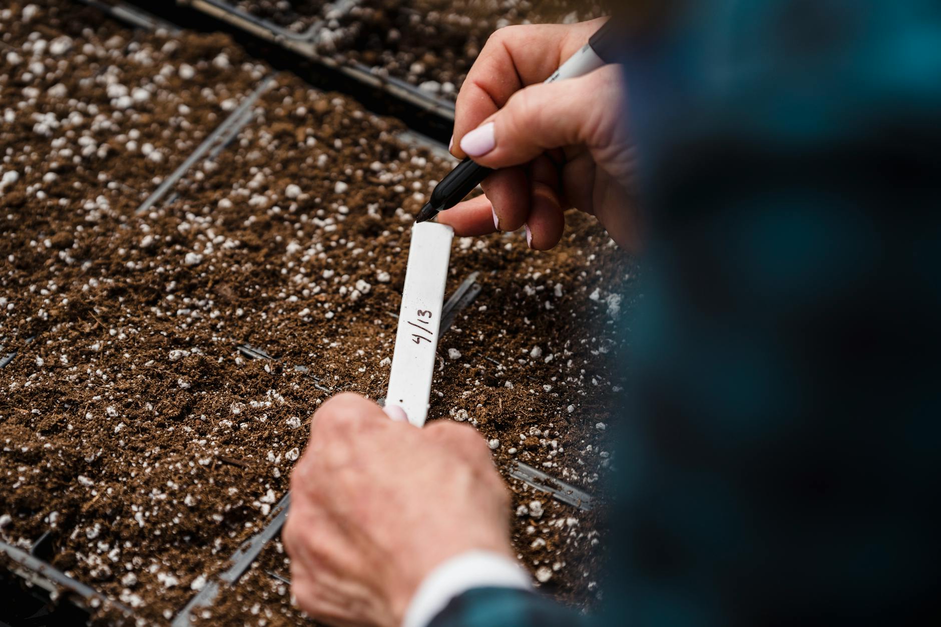 Close-up image of a gardener writing dates on a plant label in newly sown soil. - start dating after divorce