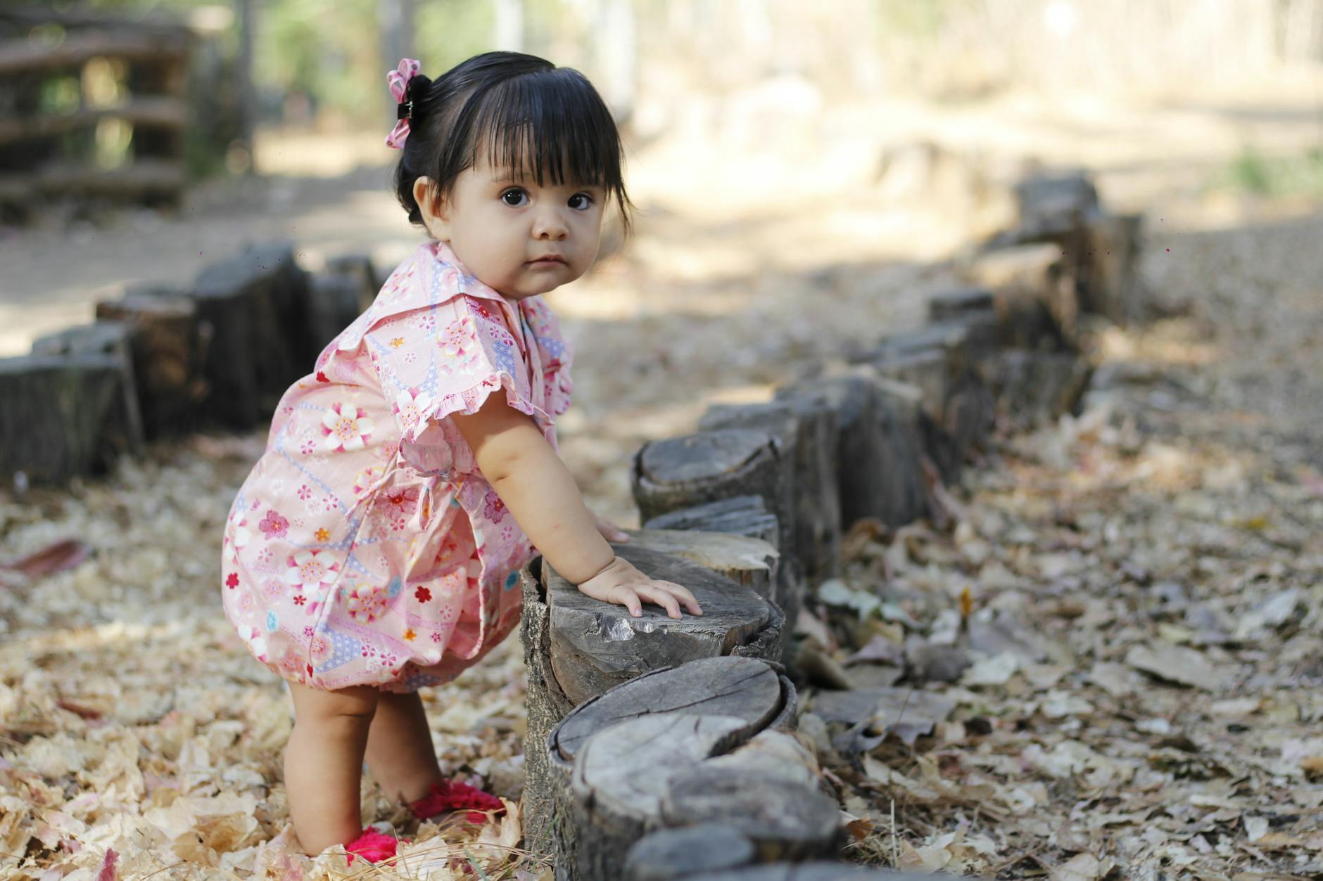 Cute toddler exploring outdoors on a sunny day, with leaves and wooden logs around her. - toddler outdoor independence