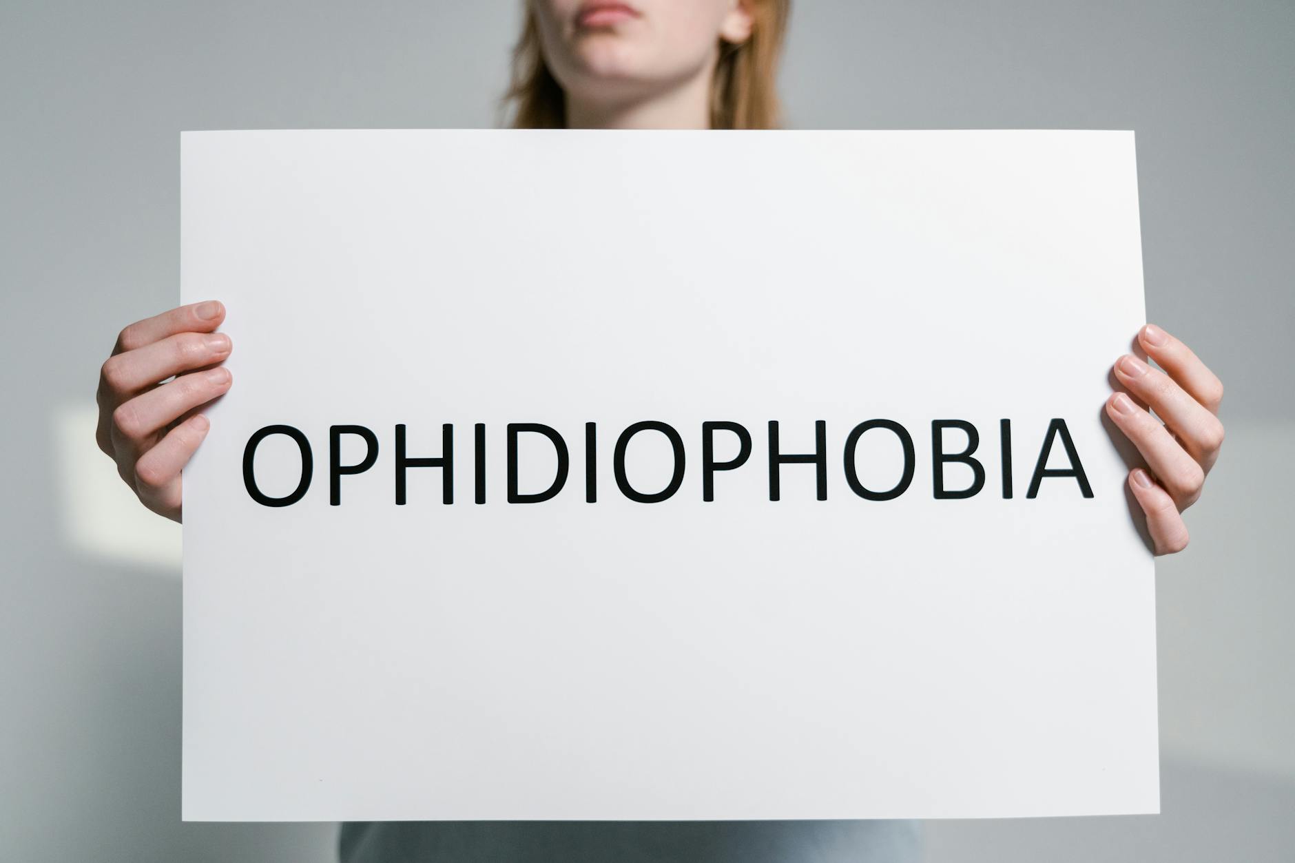 Close-up of a person holding a sign with the word 'Ophidiophobia' symbolizing fear of snakes. - types of anxiety disorders