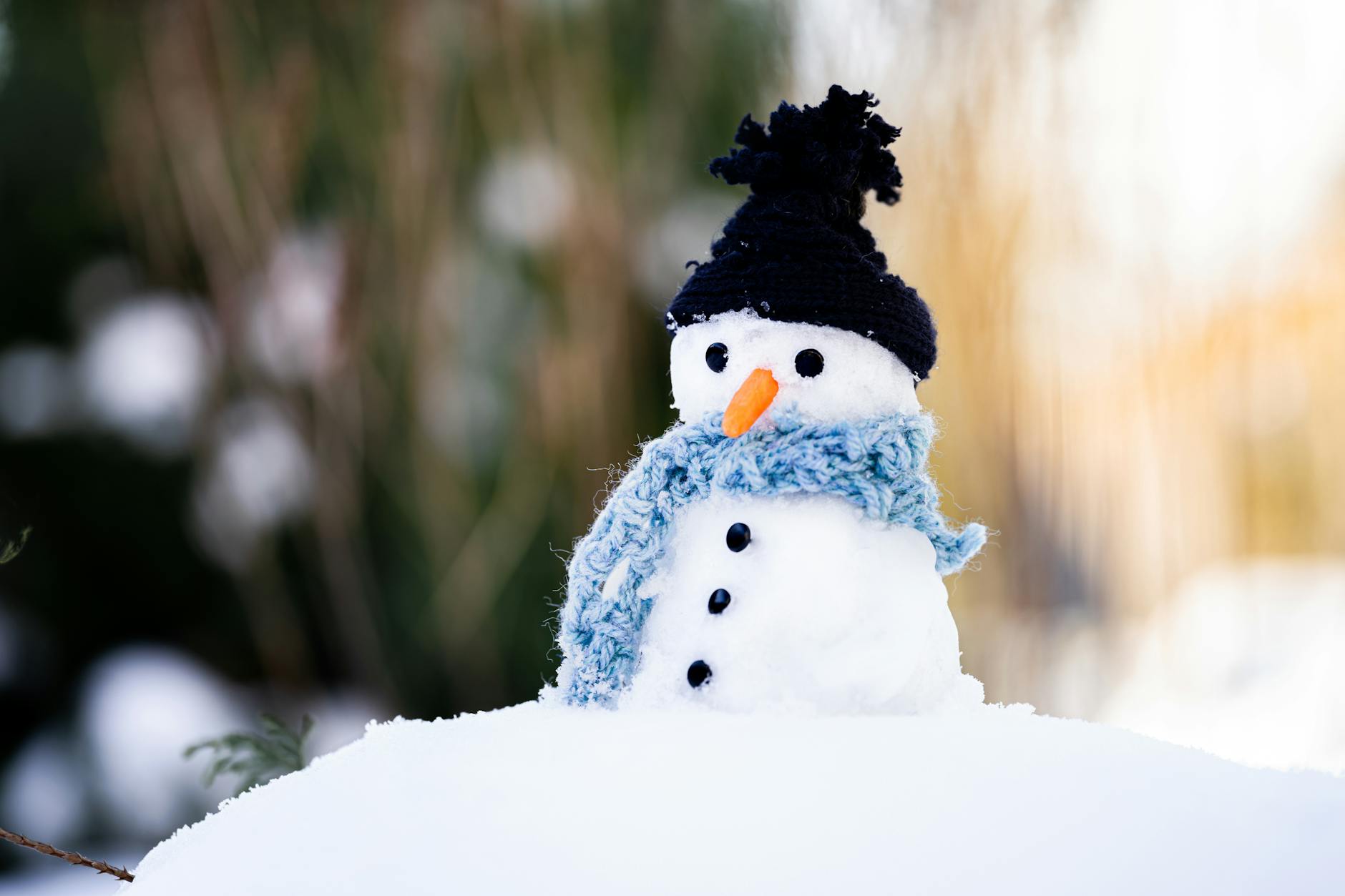 Cute snowman wearing a knitted hat and scarf, perfect for winter themes and decorations. - winter anxiety children