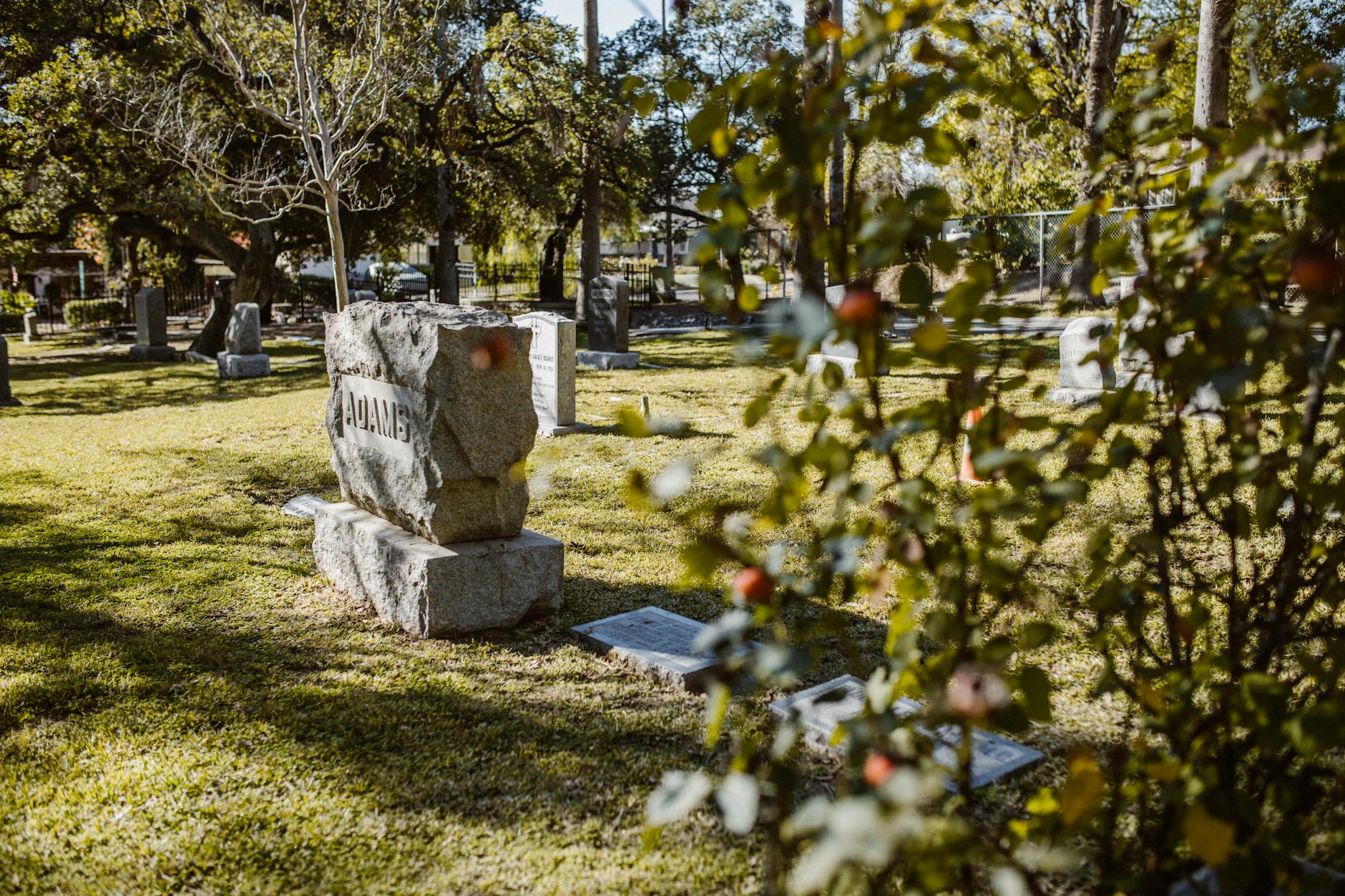 A peaceful cemetery scene with tombstones and trees under sunlight. - winter grief therapy