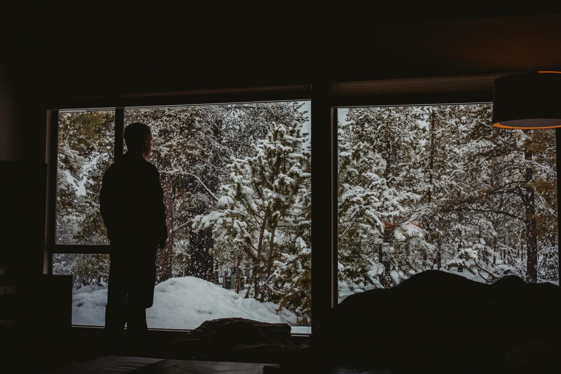 Silhouette of a man looking through a window at a snowy winter forest scene. - winter sadness therapy