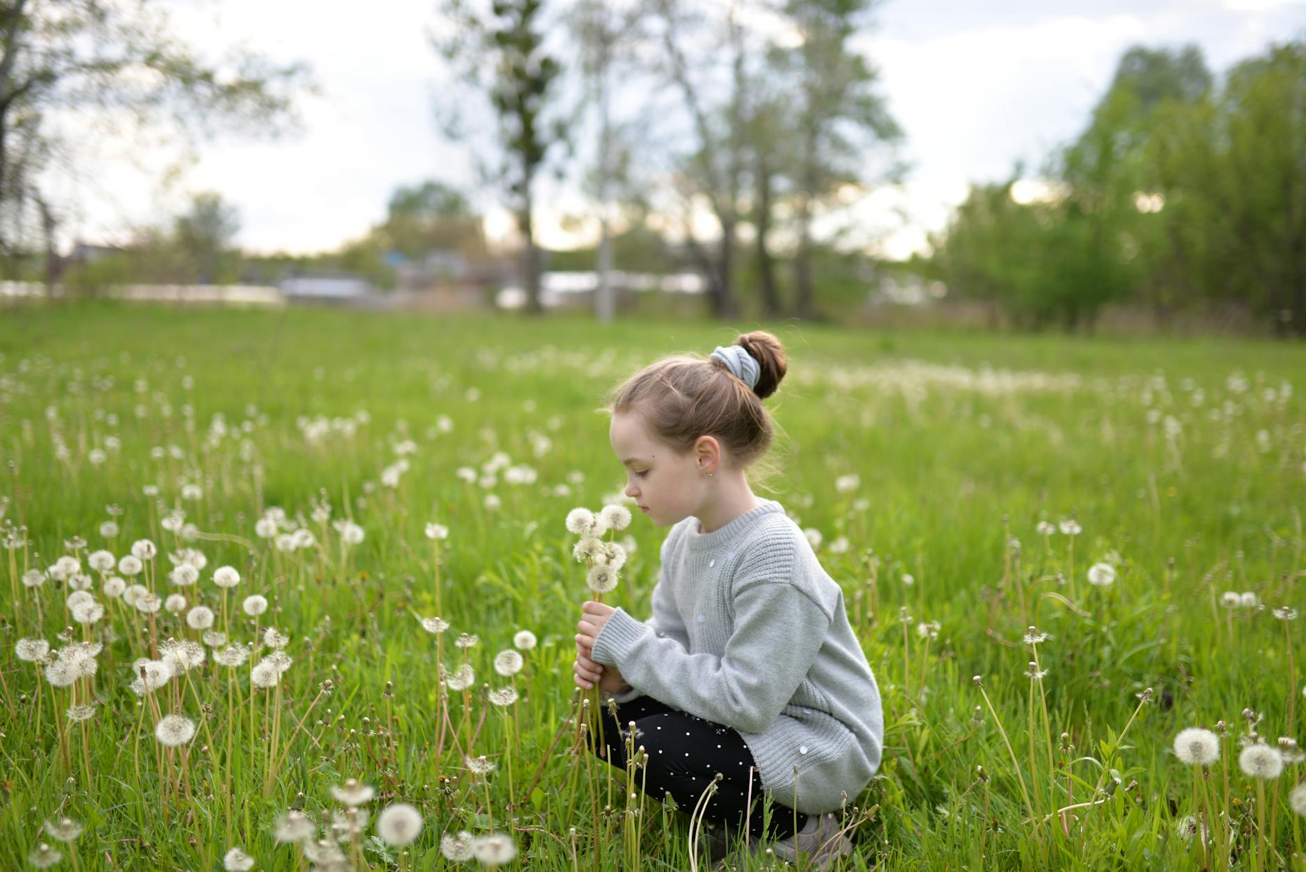 A girl sits in a field of dandelions, blowing on them during a sunny day. - allergy anxiety relief